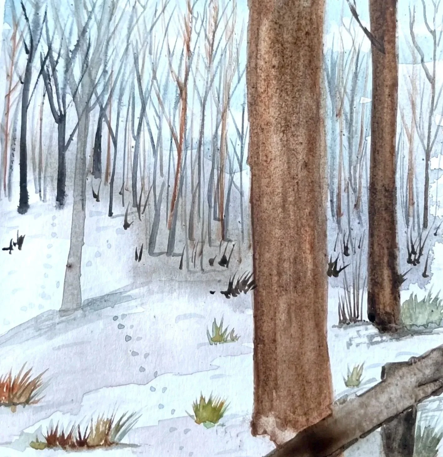 IMG_2A42F84F-43AD-4E73-8B6C-E85A3109267D.jpg