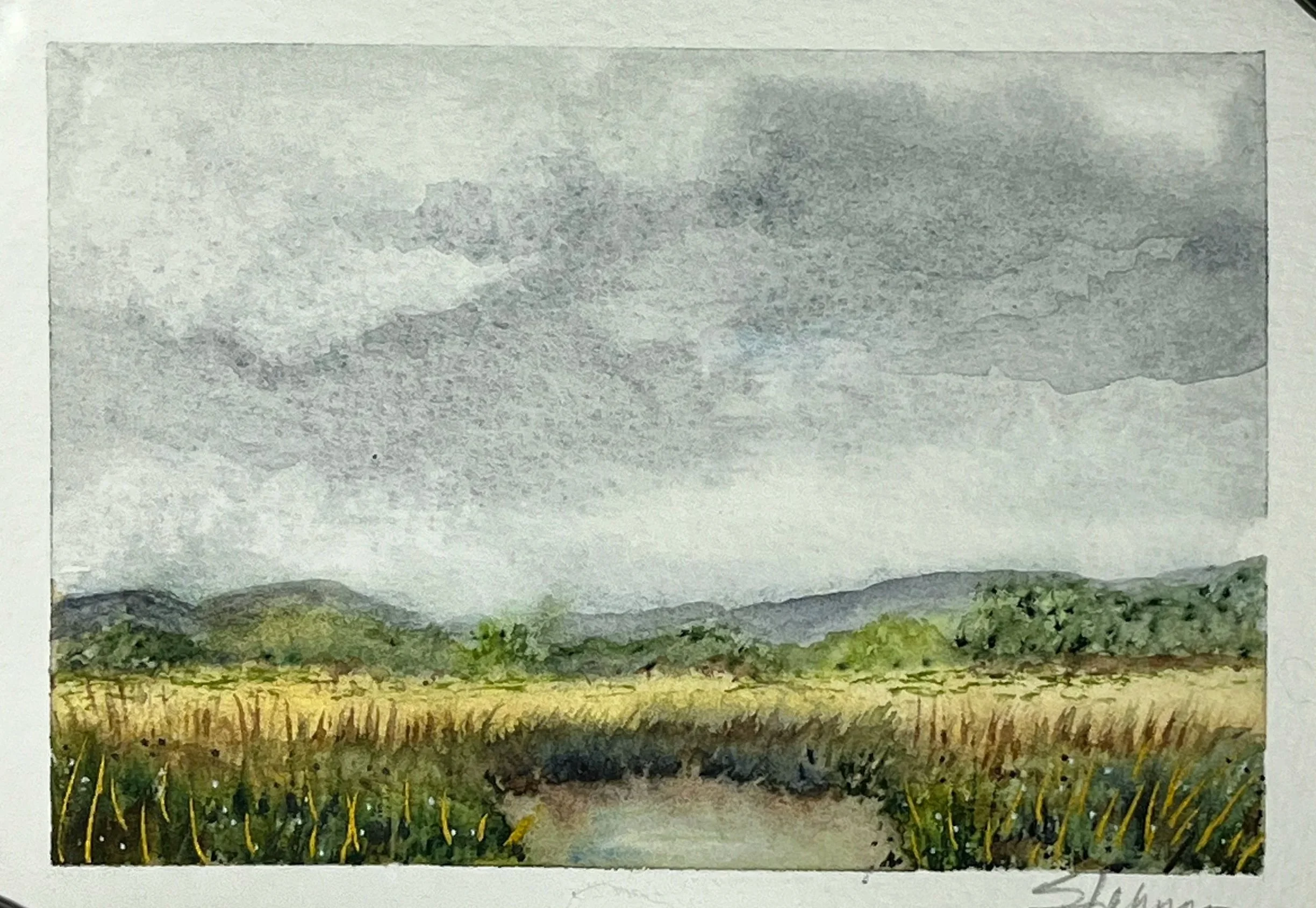 The moment sunlight begins to break through a heavy sky, the whole landscape seems to wake up. I painted this during a time of grief and feel that it honors the human experience well. SOLD