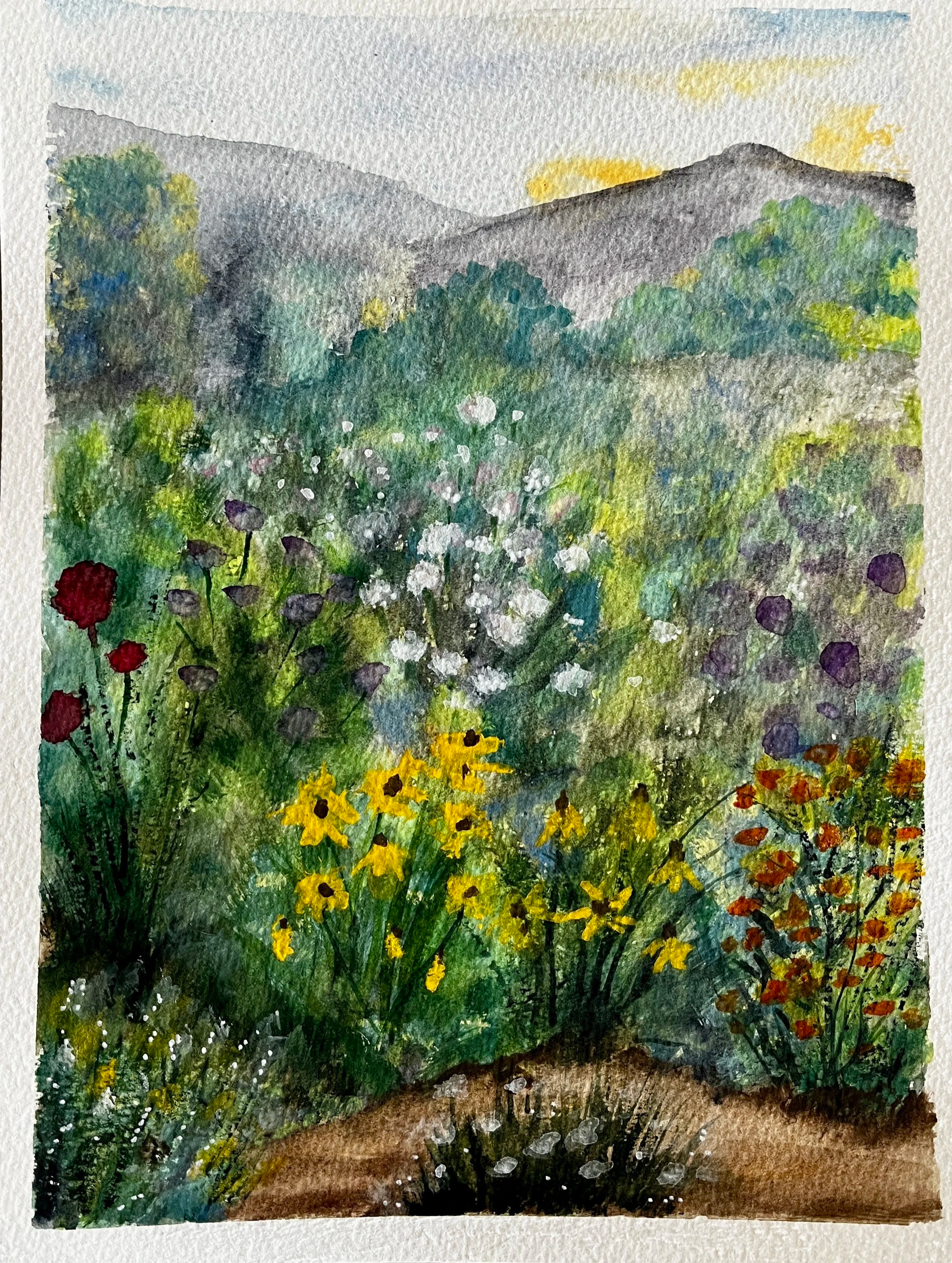 I love the curve of this path through the wildflowers with the mountains in the back. 