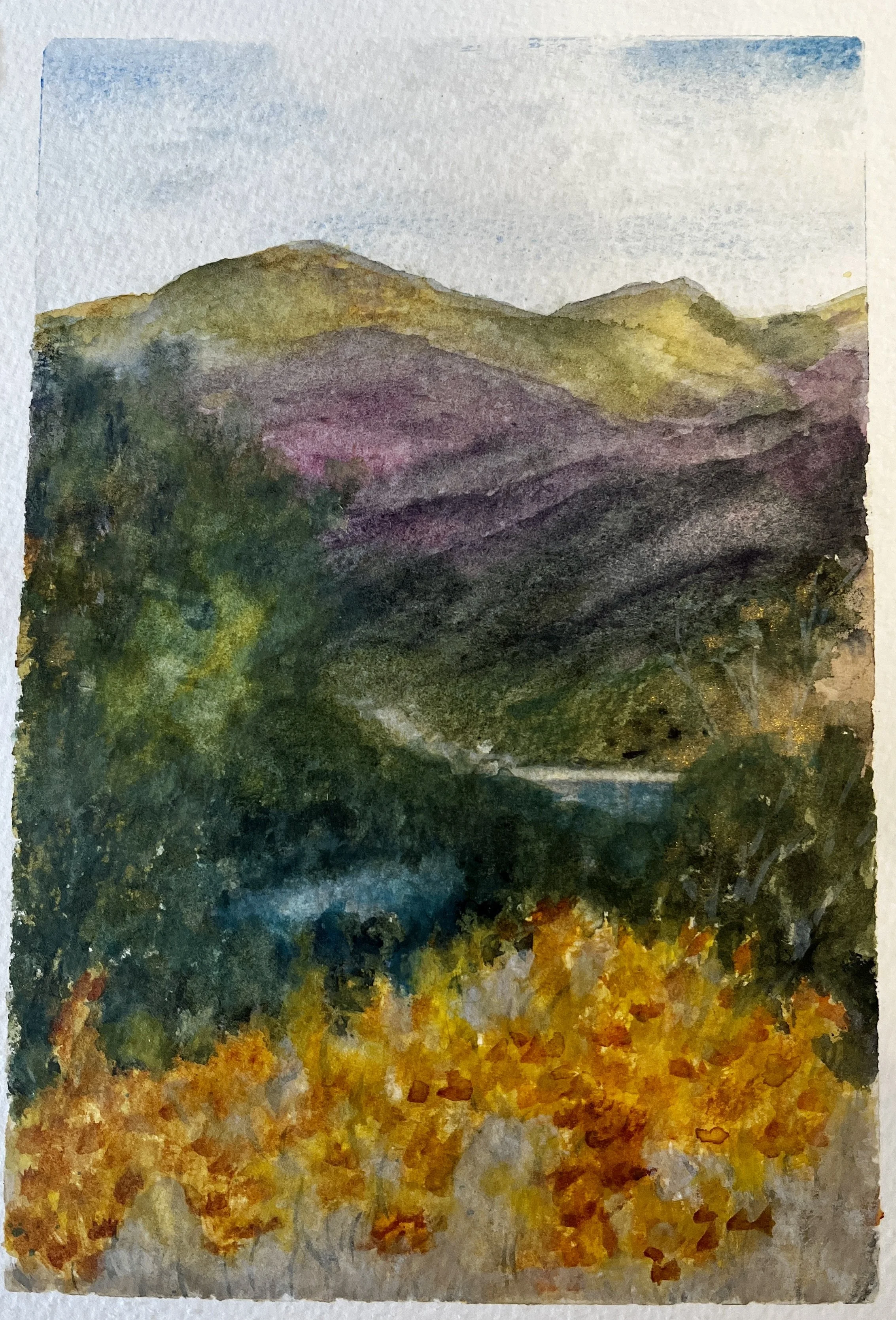 Commissioned as a thank-you gift. SOLD