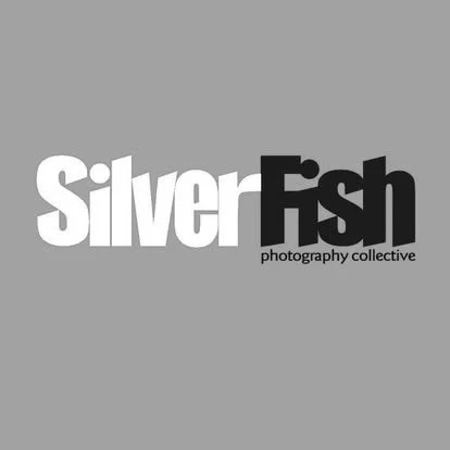 SilverFish