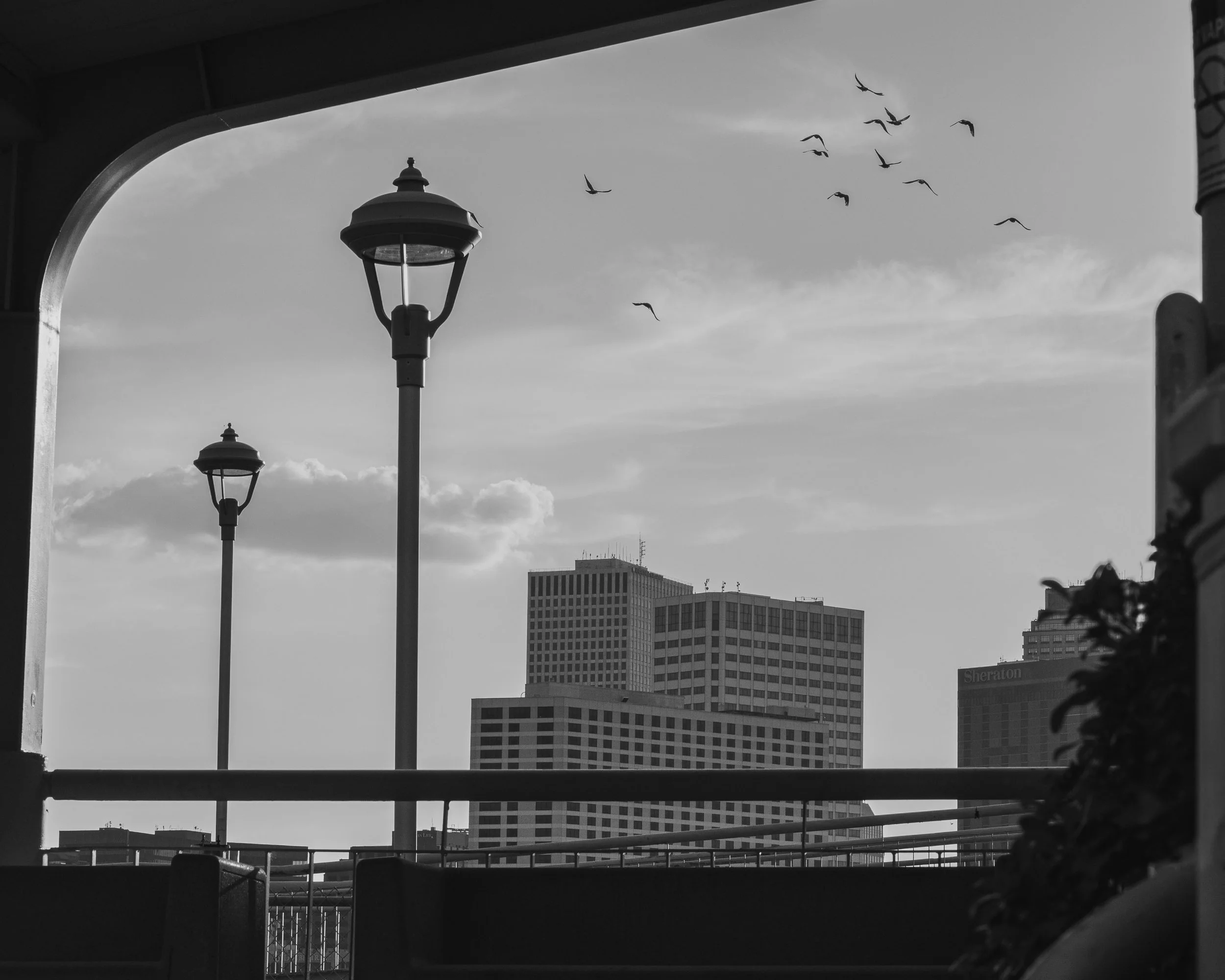 Urban Aperture

Black-and-white photograph looking through a steel-framed opening toward downtown buildings. Street lamps stand in the foreground, and a flock of gulls crosses a bright, clouded sky.
