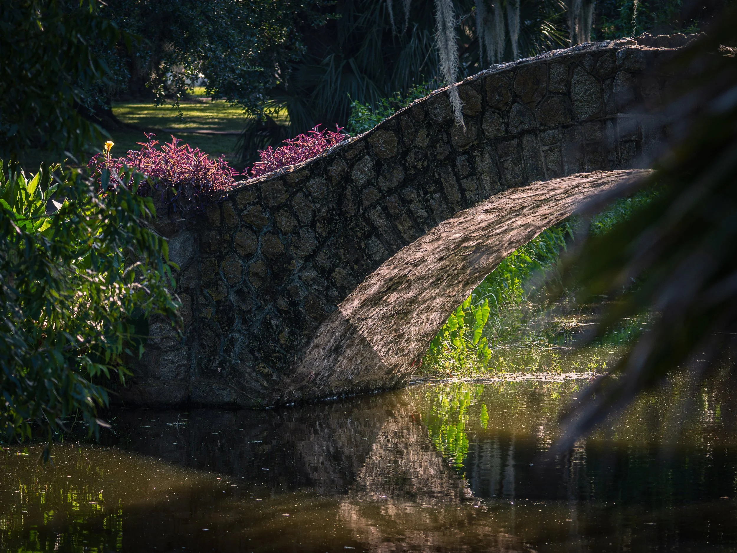 Sheltered Crossing

Stone arch bridge over reflective water in New Orleans City Park, surrounded by dense greenery and filtered sunlight.
