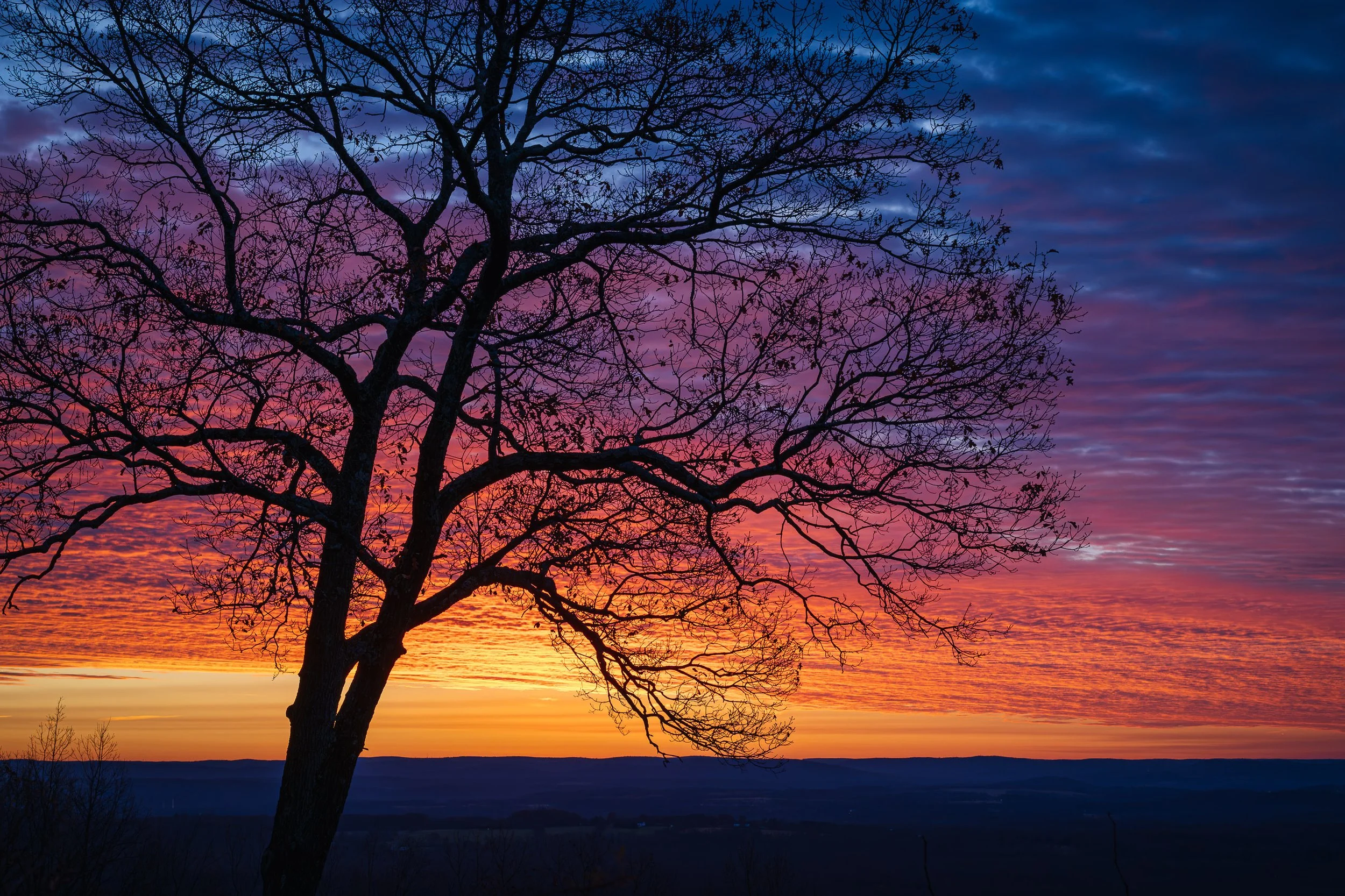 Unfurling Dawn

Silhouette of a tree against a vibrant sunset over the Pocono Mountains, with layered orange, pink, and blue sky above distant hills.