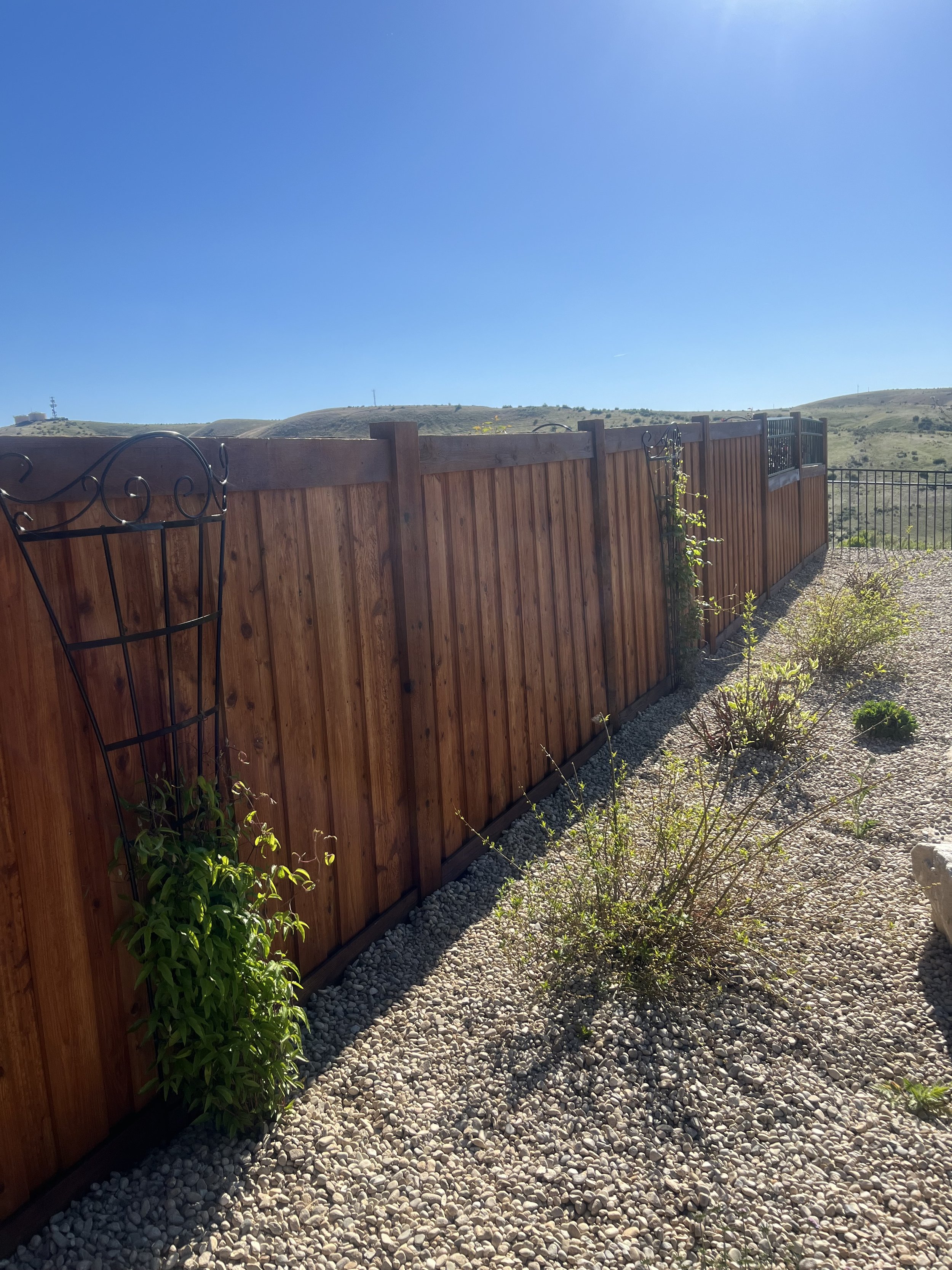 A gravel yard with some small bushes and plants next to a tall wooden fence under a clear blue sky with distant rolling hills.