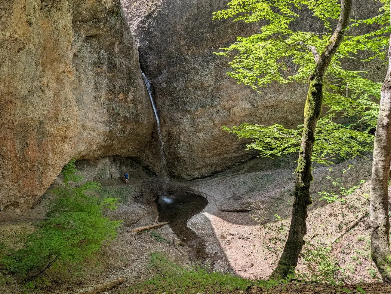 coaching-wanderung-schwaegalp-appenzell-hike-with-eve.webp