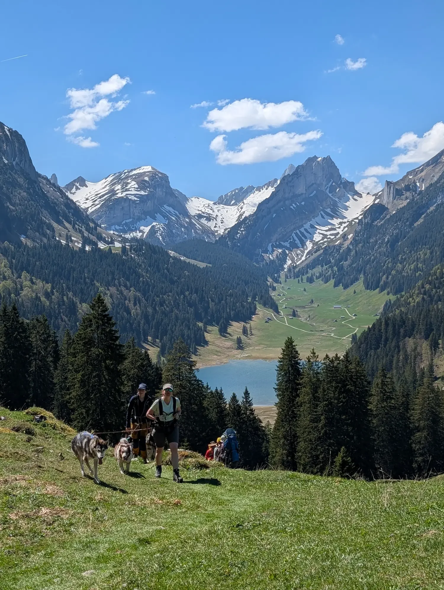 husky-wanderung-alpstein-berge-schweiz-hike-with-eve-saemtisersee.webp