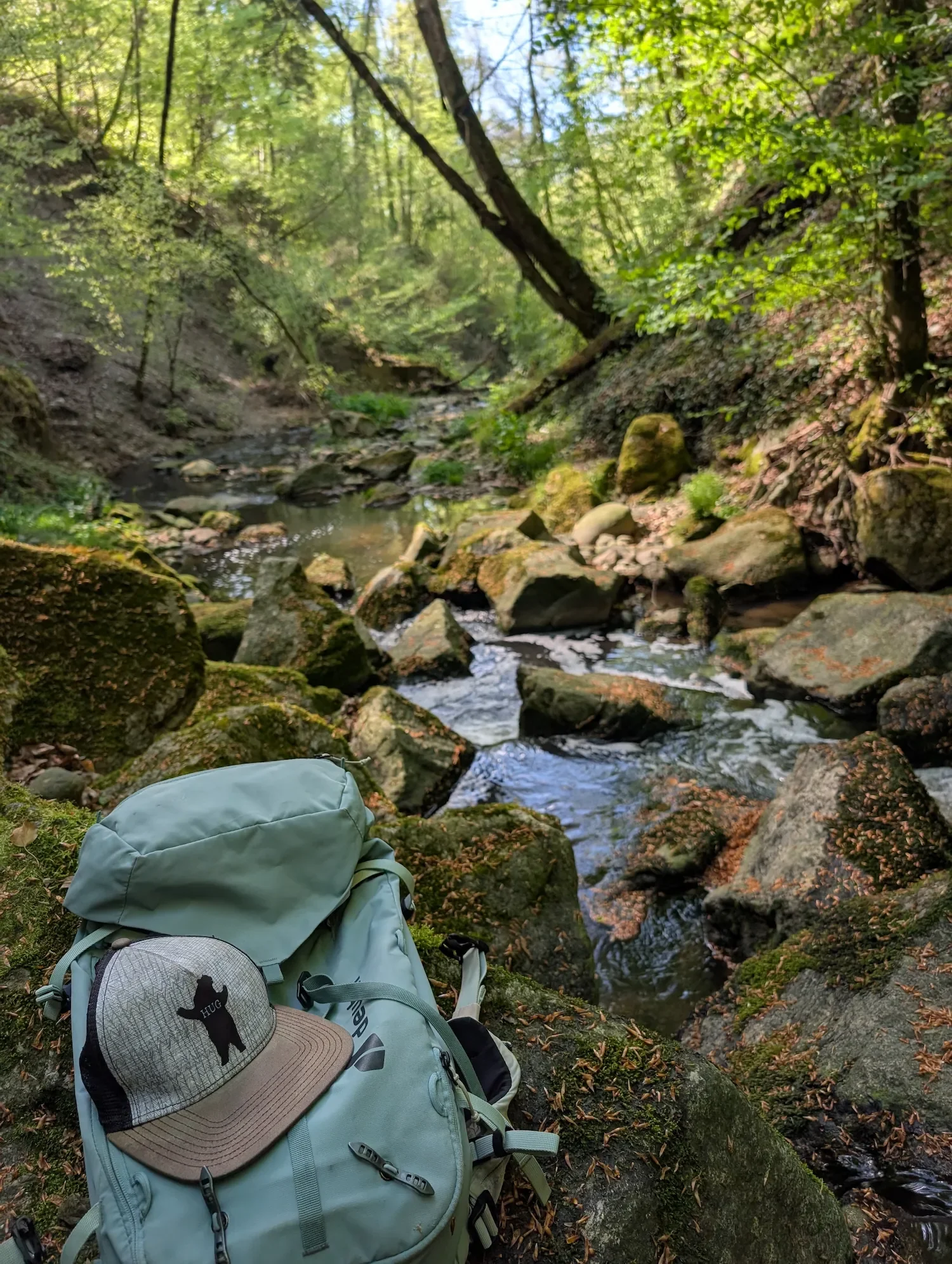 coaching-wanderung-schwaegalp-appenzell-hike-with-eve.webp