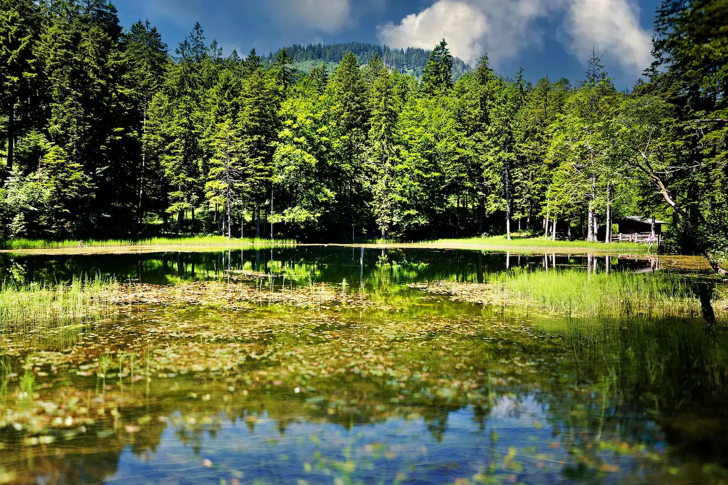 hike-with-eve-alpstein-wanderung-faehlensee-appenzell-foto-haens-tobler.webp