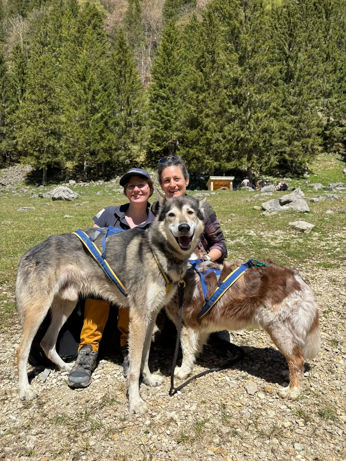 husky-wanderung-alpstein-berge-schweiz-hike-with-eve.webp