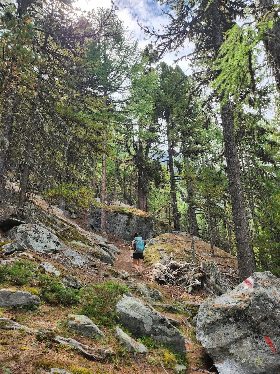 hike-with-eve-coaching-hike-schwaegalp-schweiz.webp