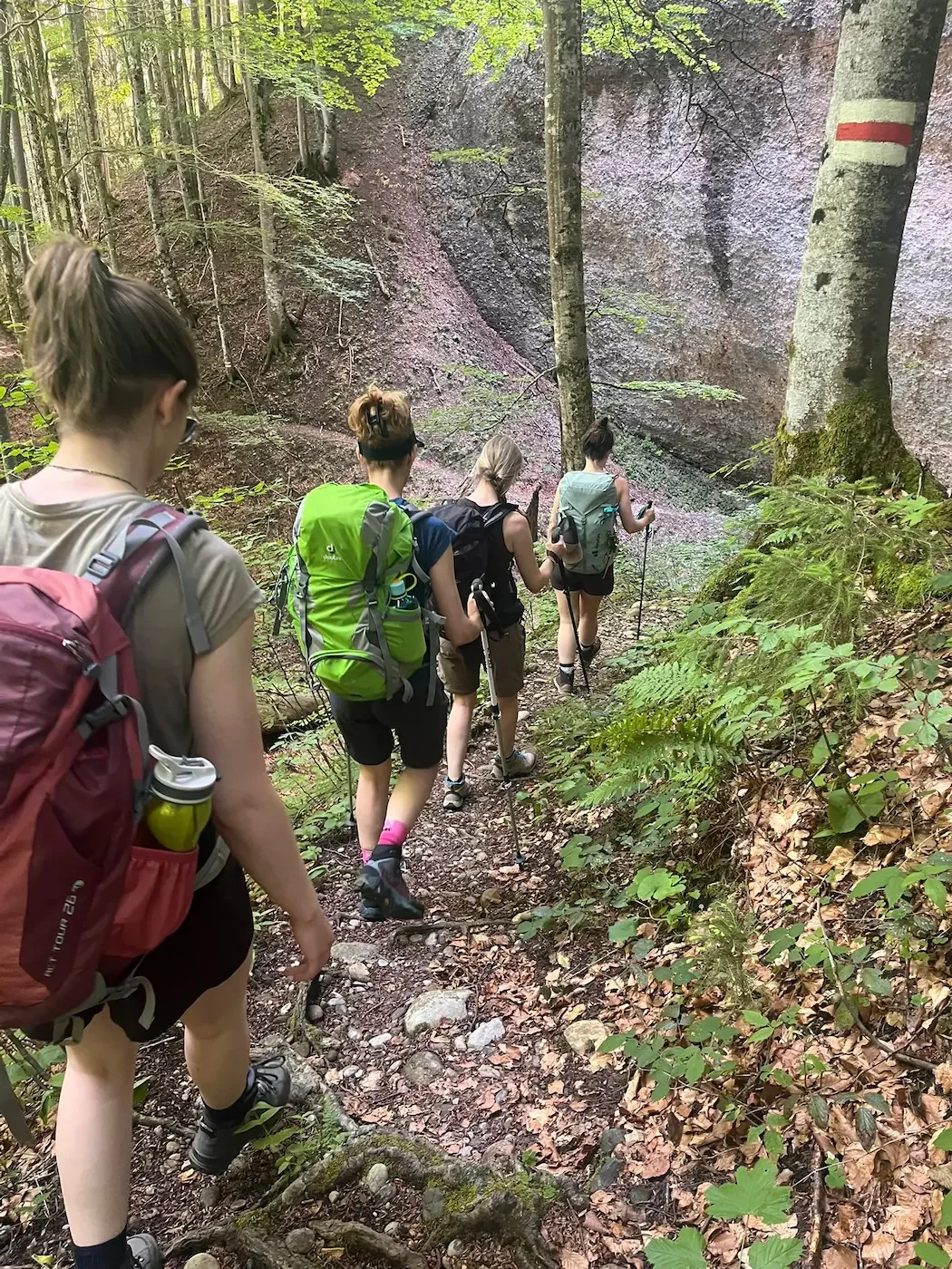 coaching-wanderung-hike-with-eve-schweiz-alpstein.webp
