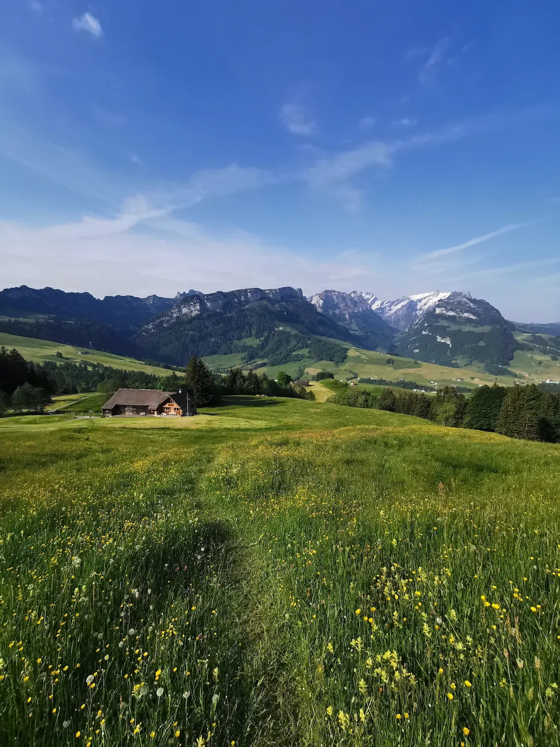 coaching-outdoor-hike-with-eve-schweizer-berge.webp