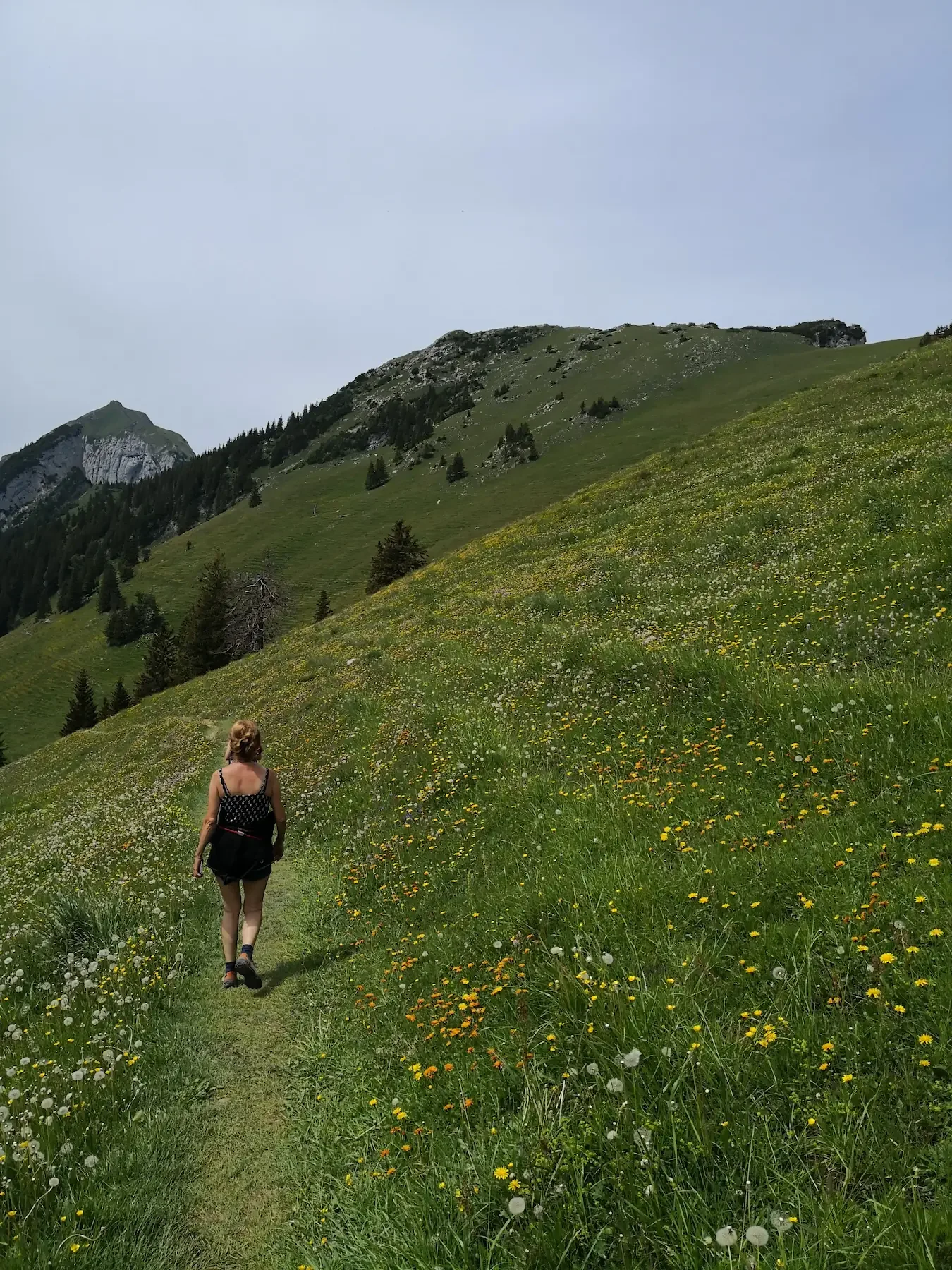 coaching-wanderung-hike-with-eve-schweiz-appenzell.webp