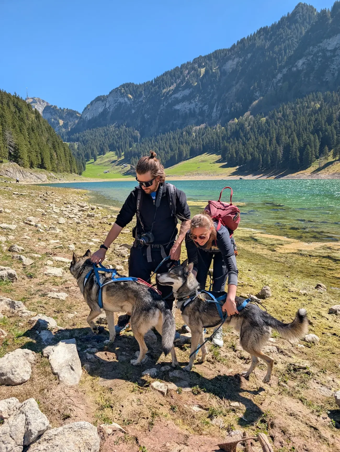 husky-trekking-alpstein-schweiz-hike-with-eve-brülisau.webp