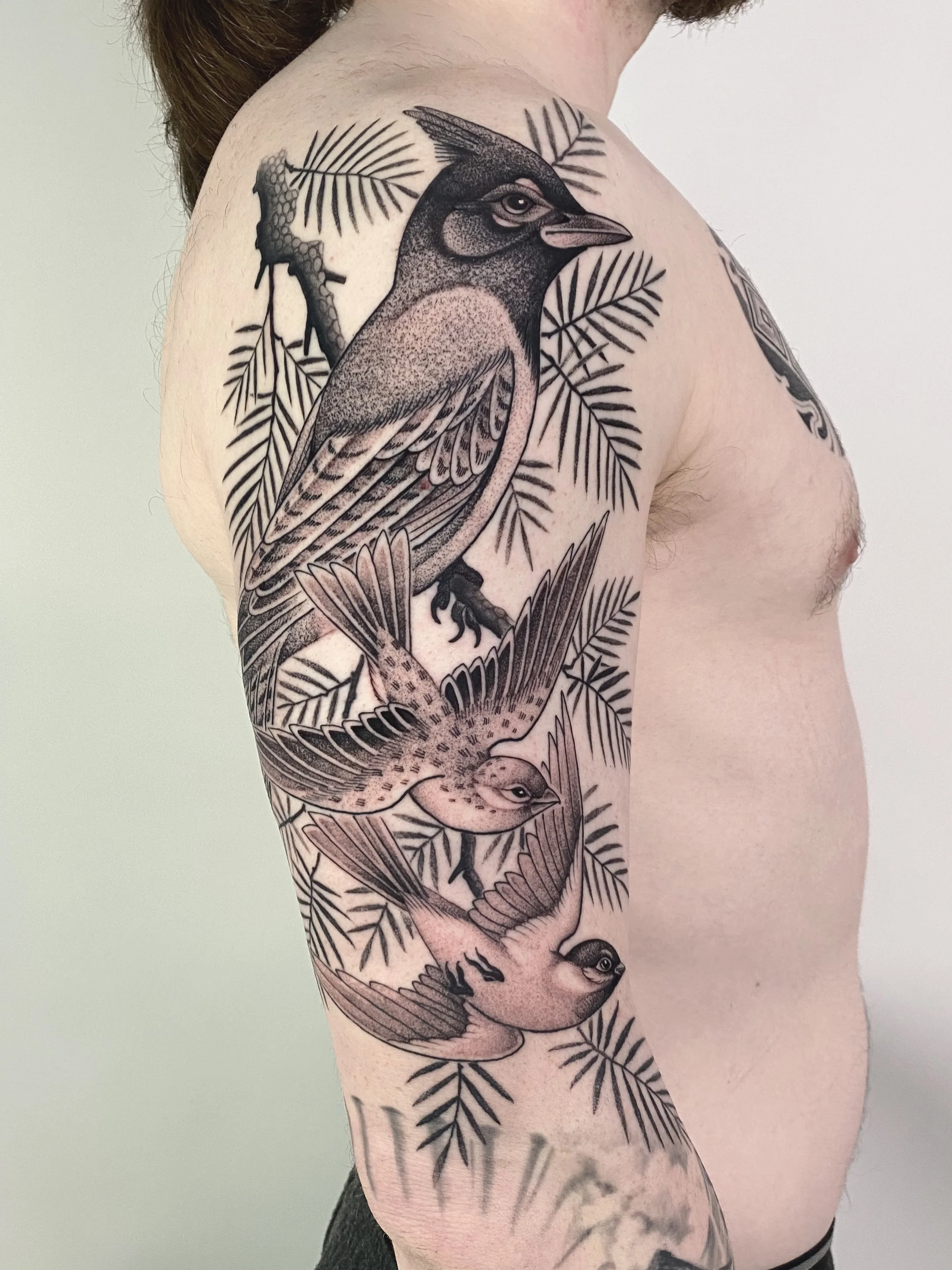 nature tattoo , bird tattoo , Stellers jay , mans tattoo,