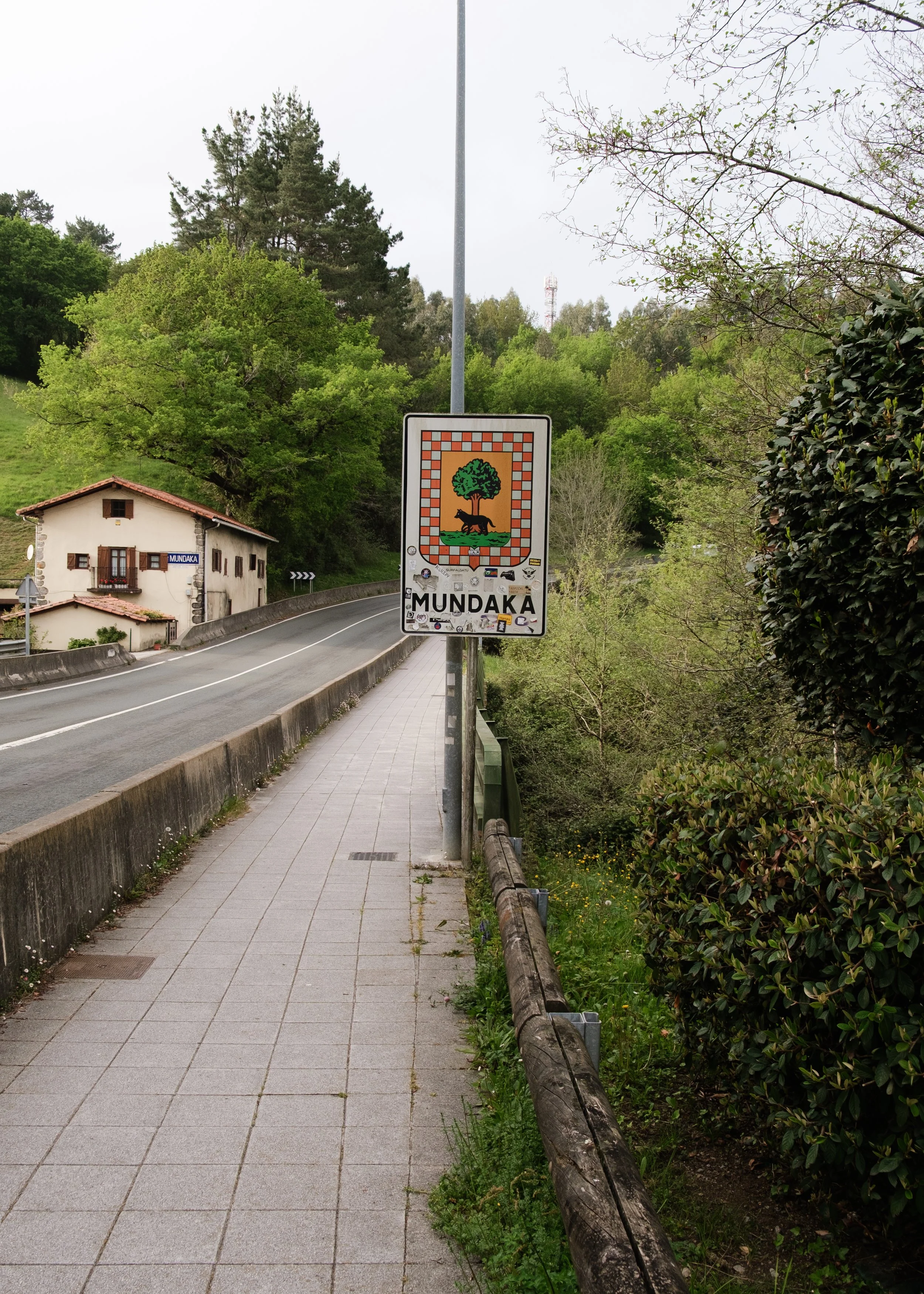 DSCF2315.jpg