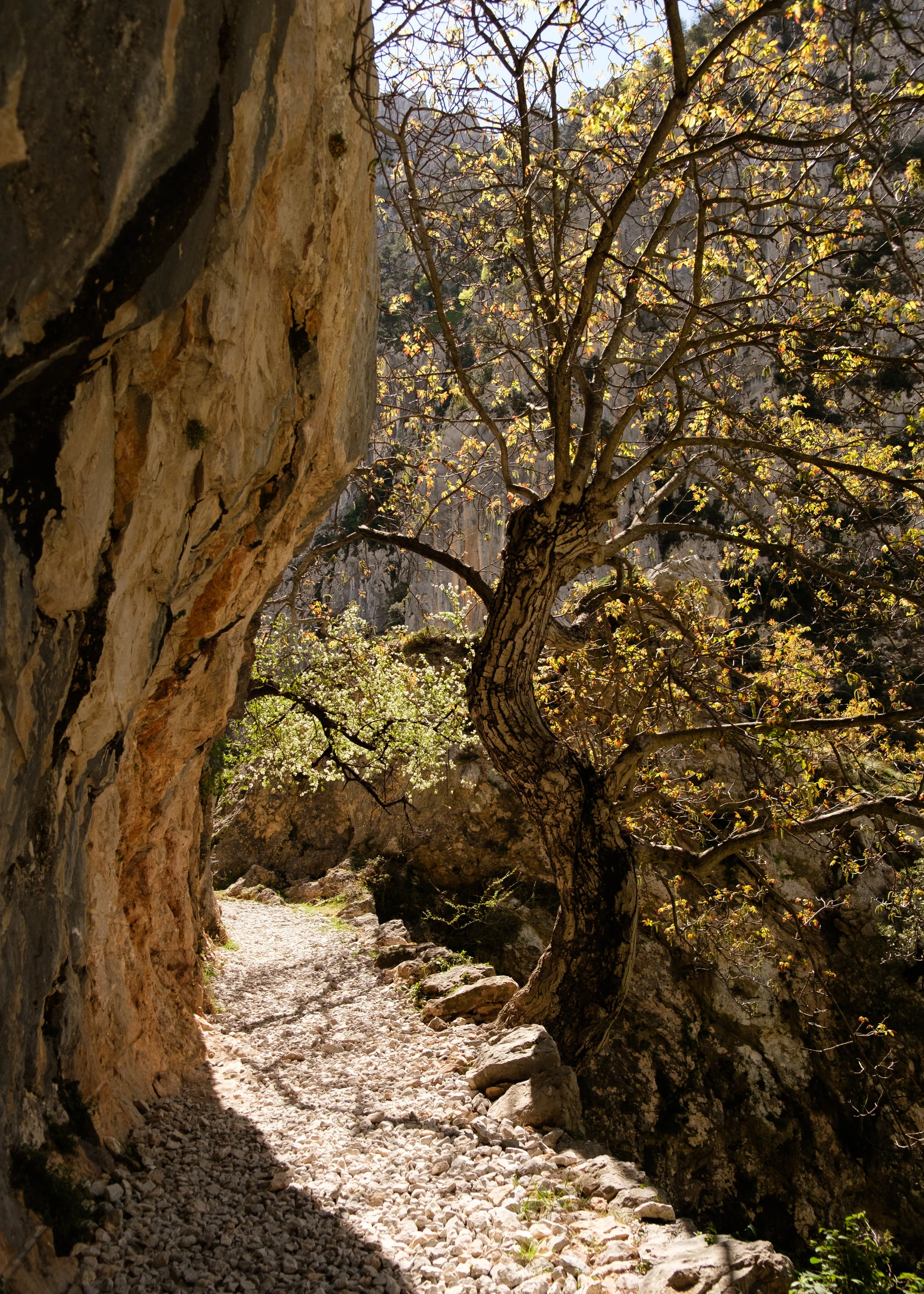 DSCF2619.jpg