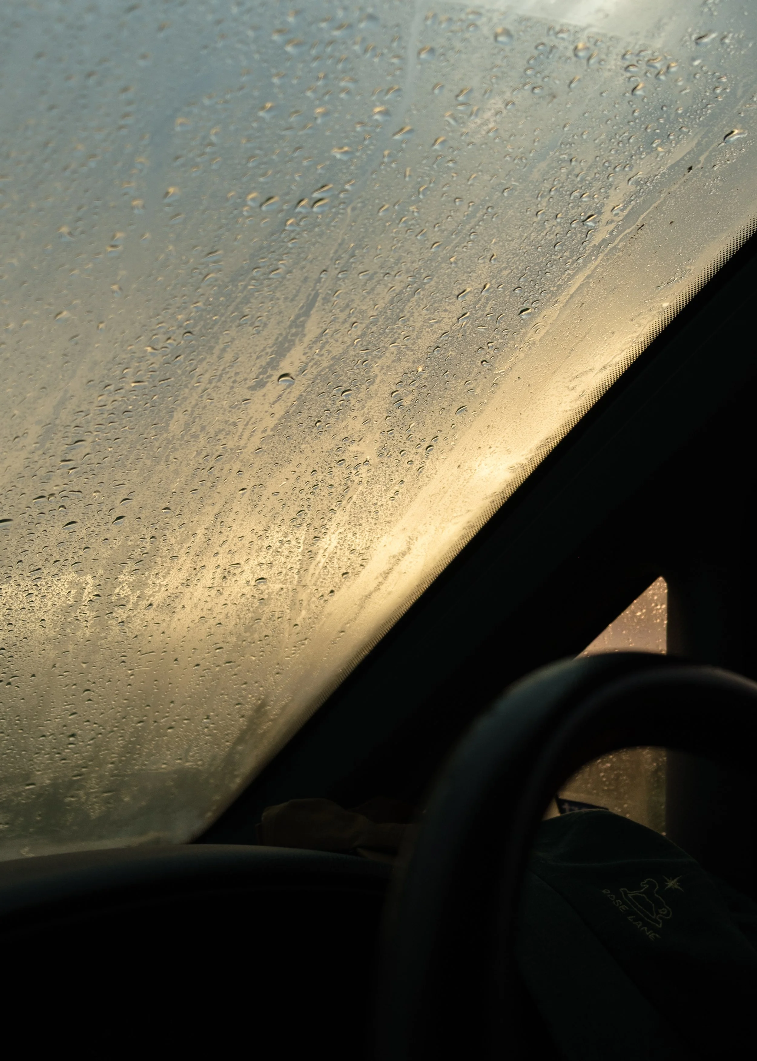 DSCF3108.jpg