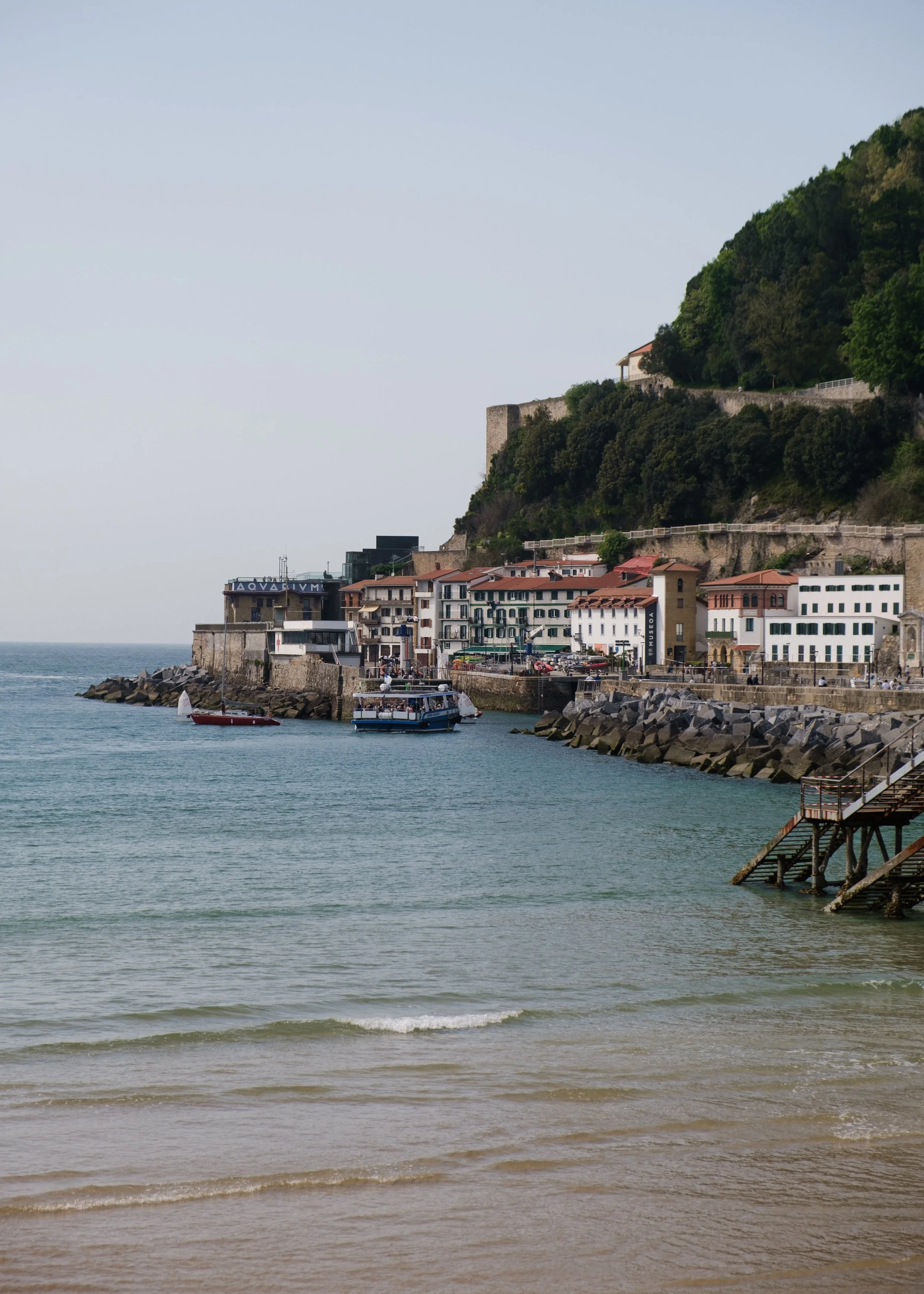 DSCF2405.jpg