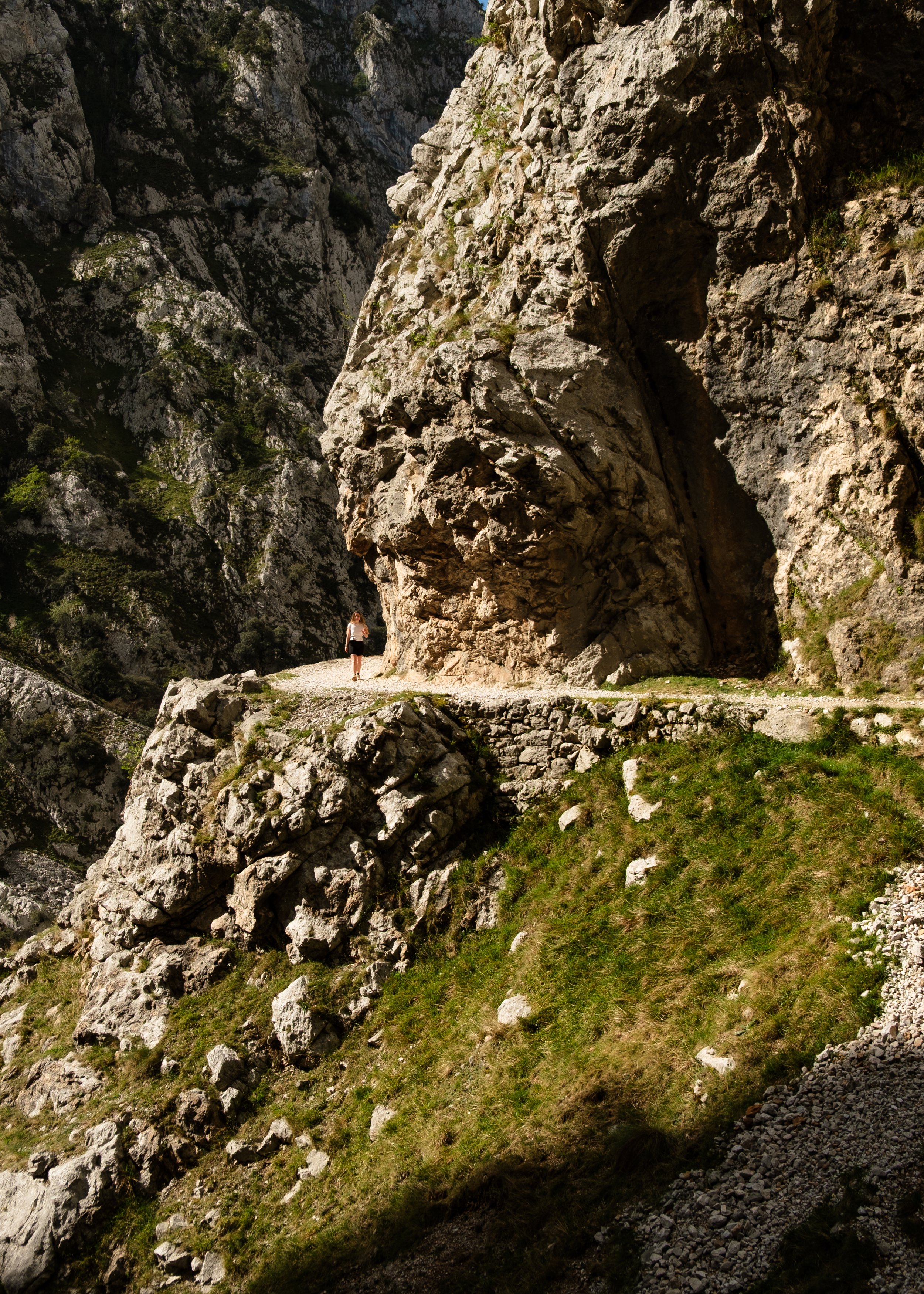 DSCF2587.jpg