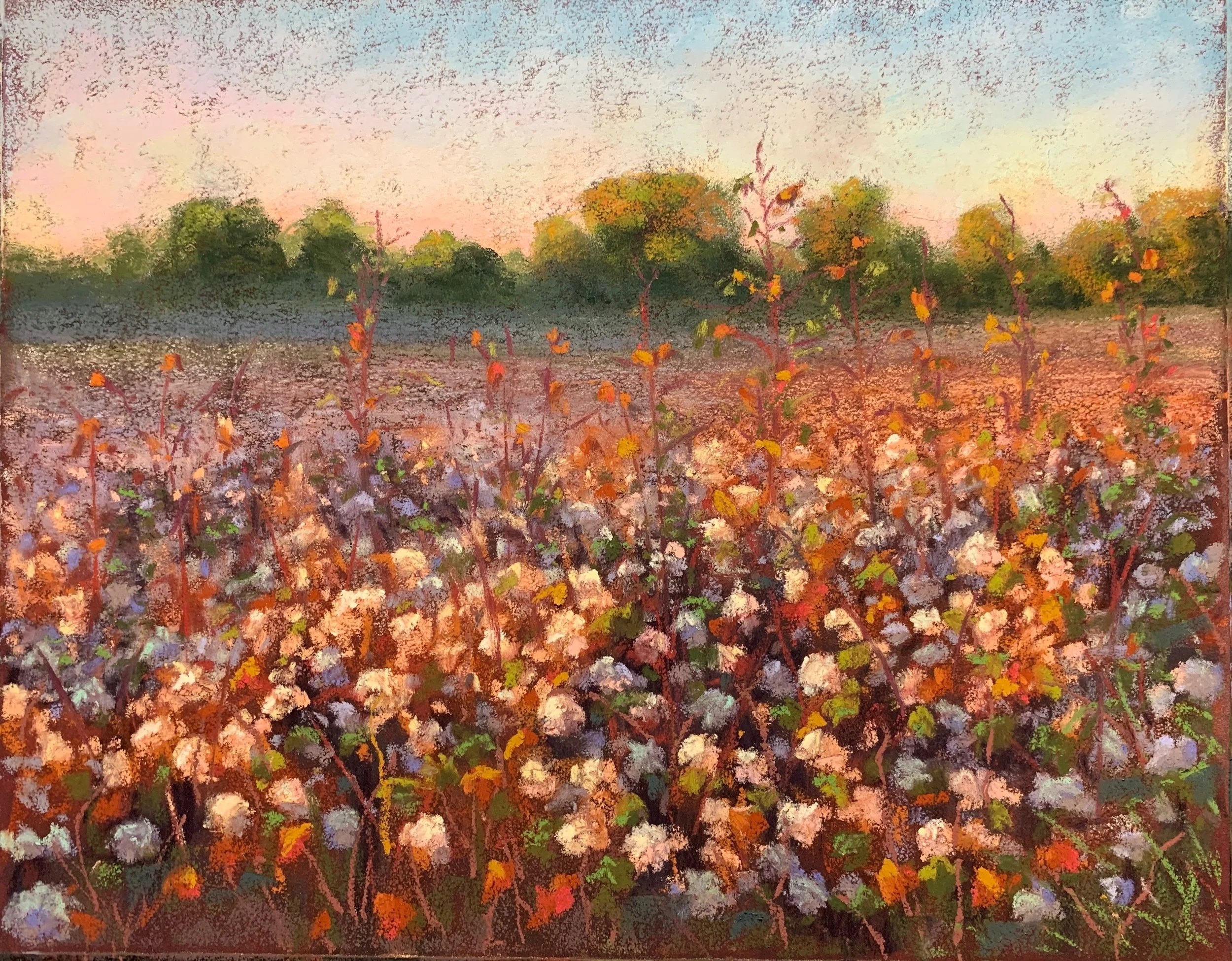 A painting of a cotton field at sunset with trees in the background.