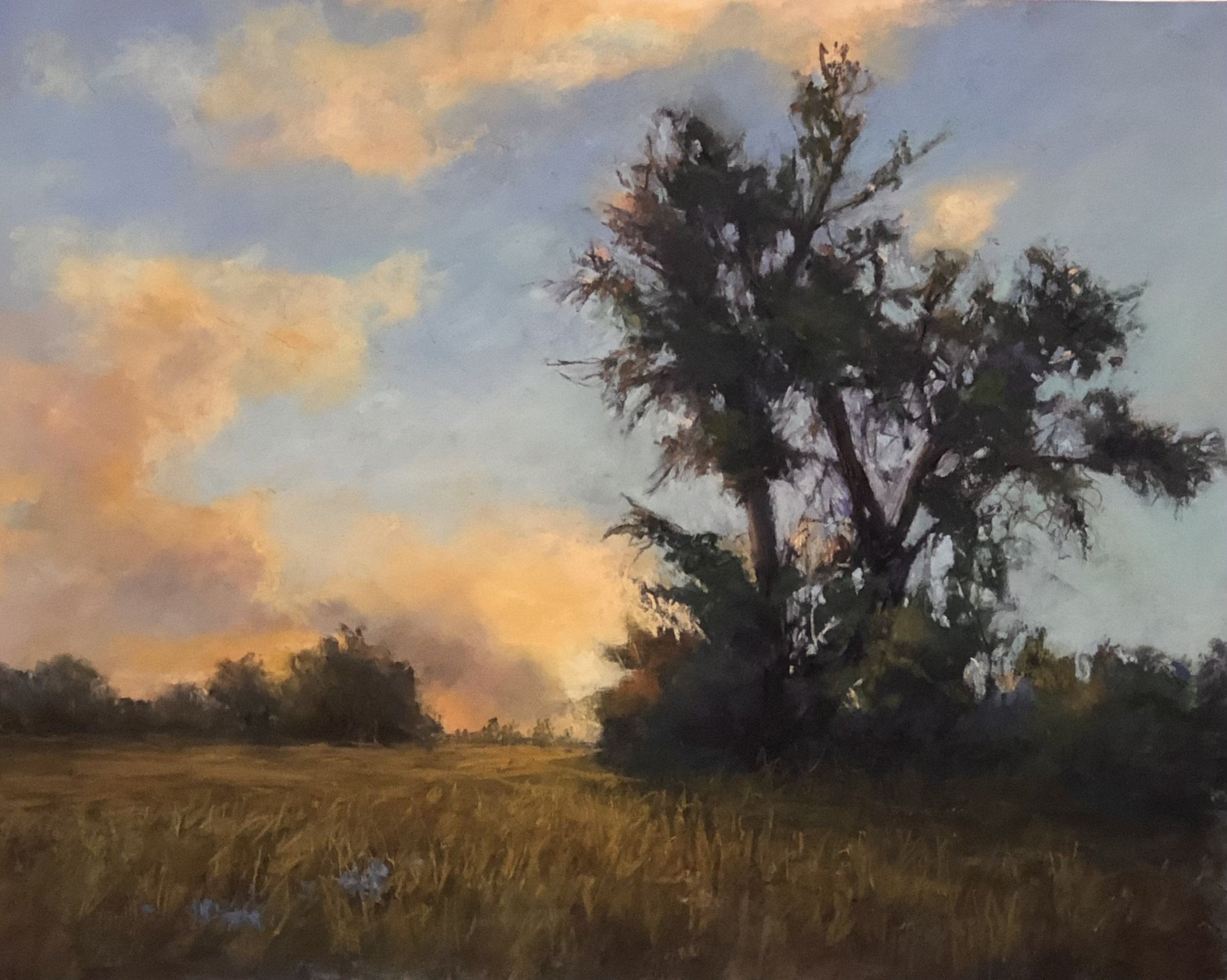 A landscape painting of a sunset with colorful orange and blue clouds in the sky, a large silhouetted tree in the foreground, and grassy fields and distant trees.