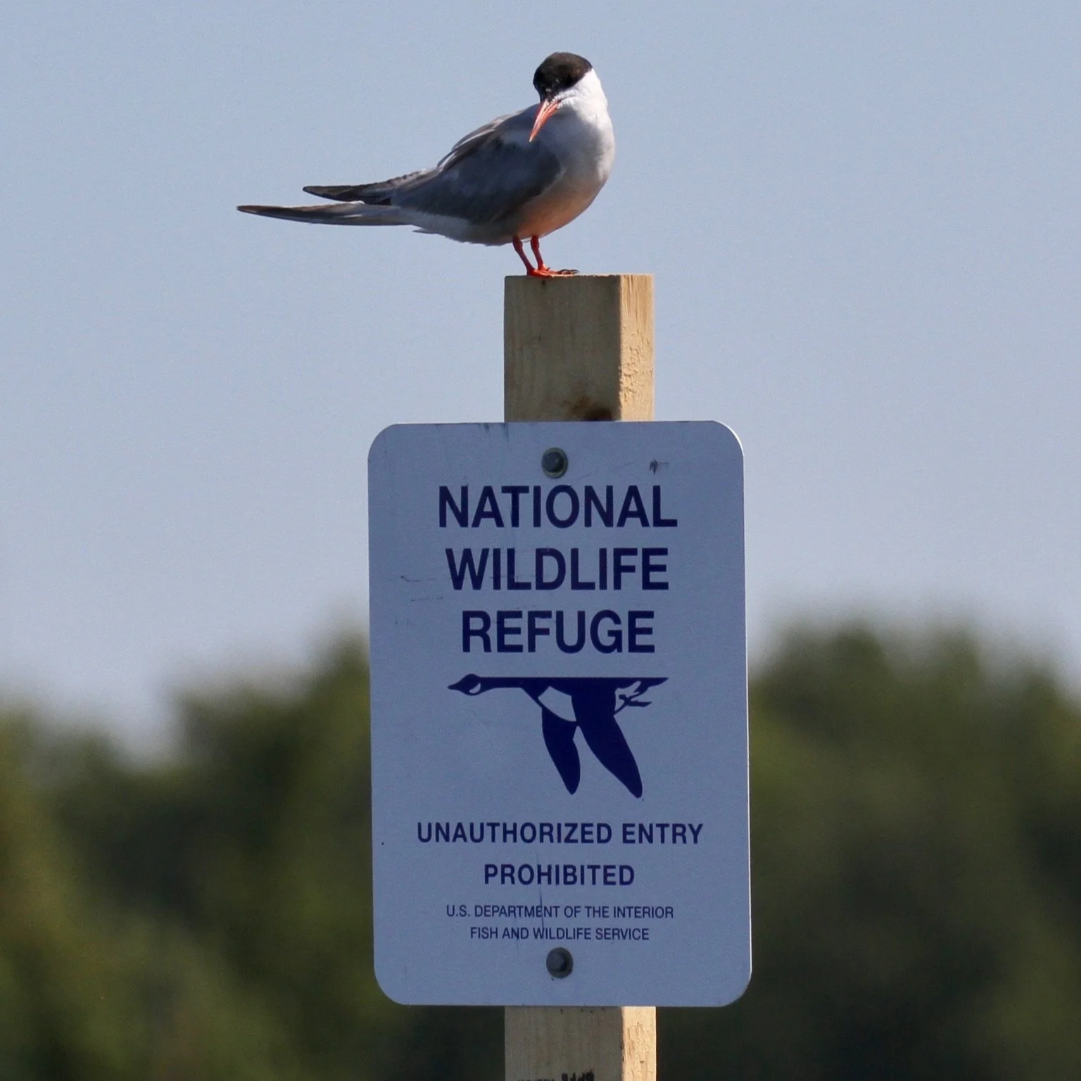 Bi-monthly Board Meeting