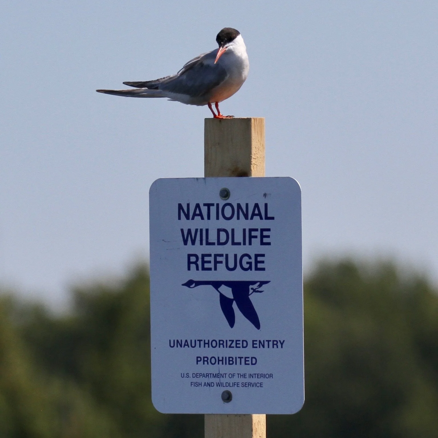 Bi-monthly Board Meeting