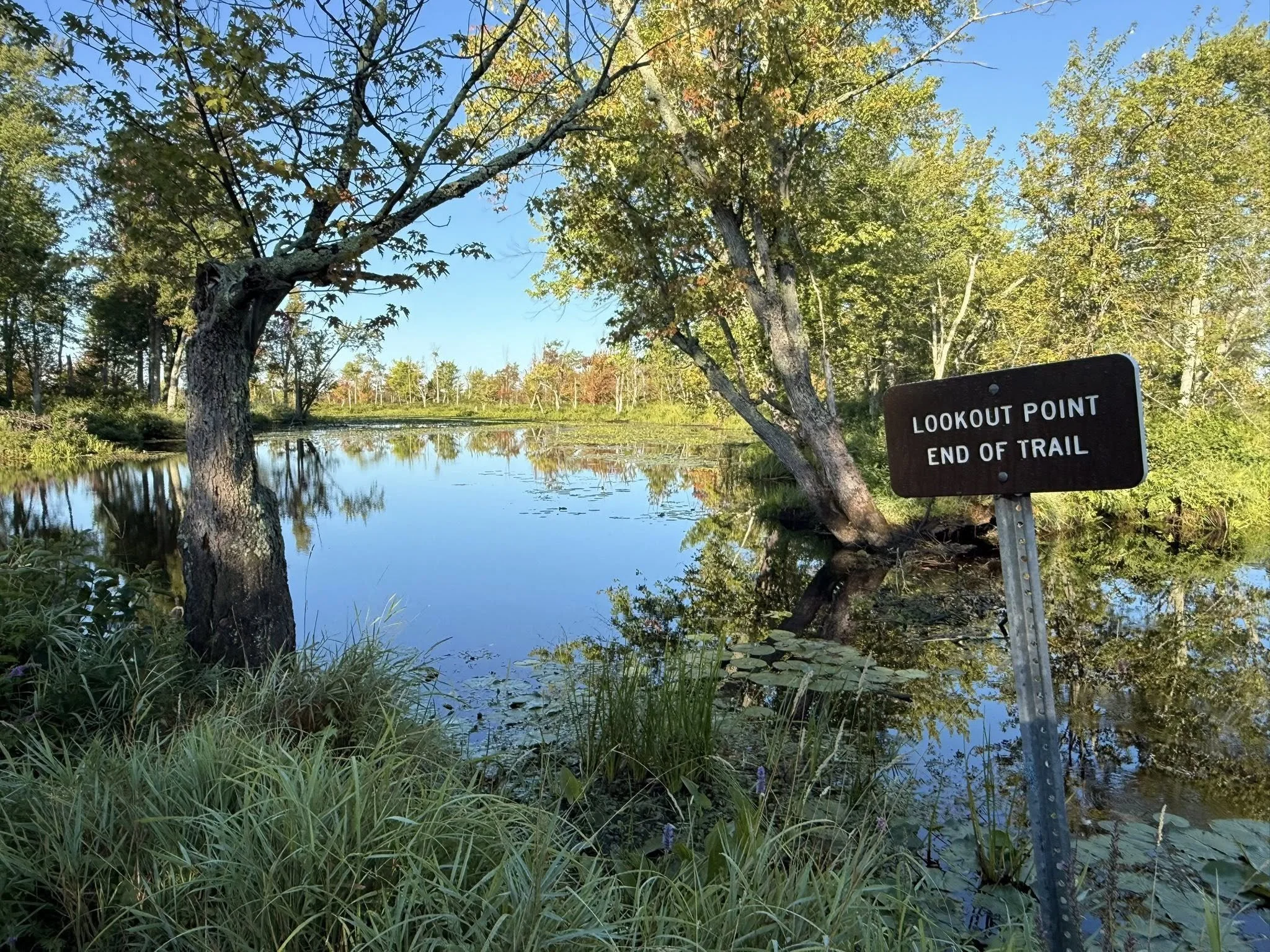 Monthly Bird Monitoring Walk