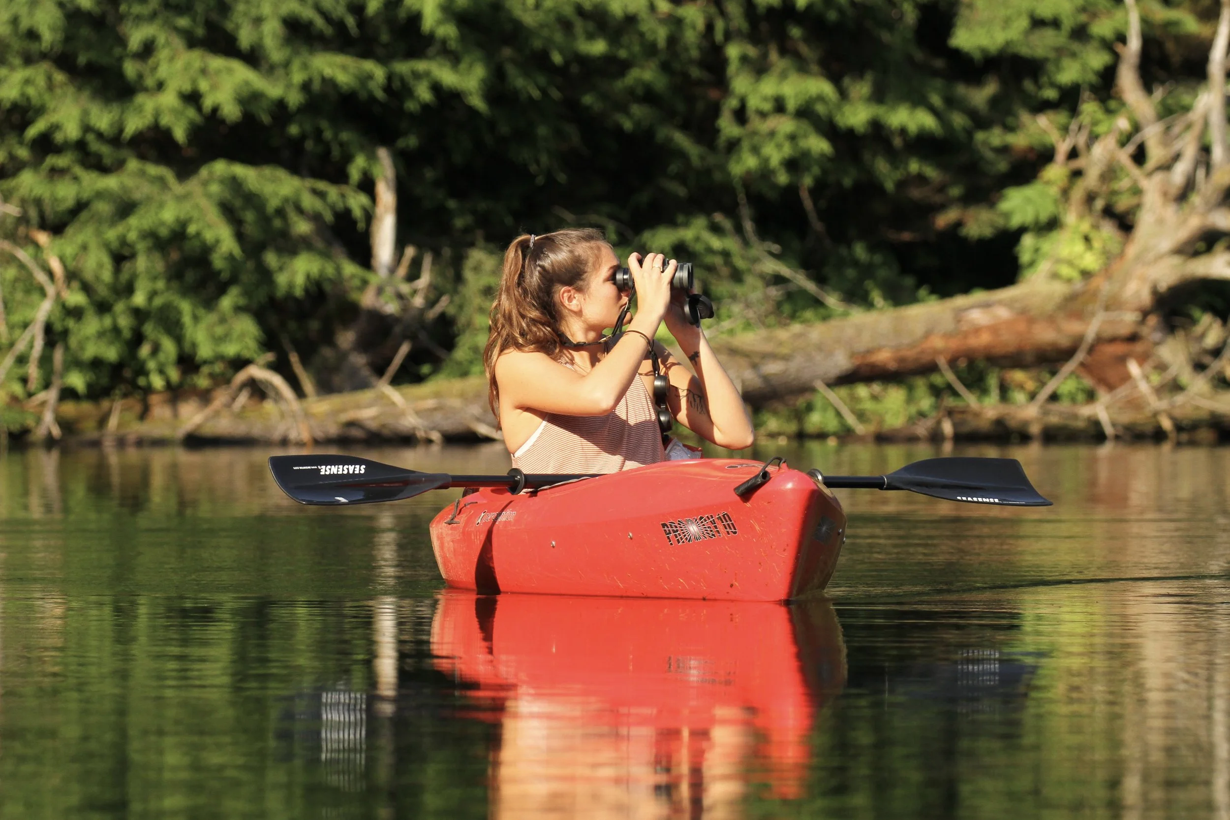Missisquoi River Paddle