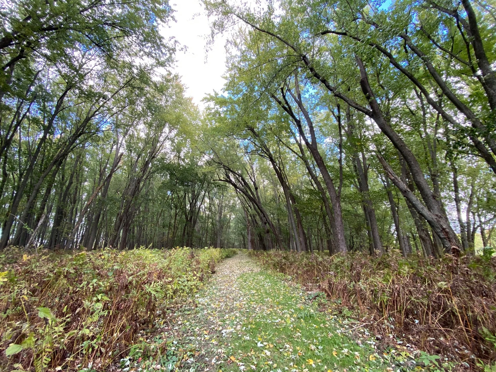 Monthly Bird Monitoring Walk