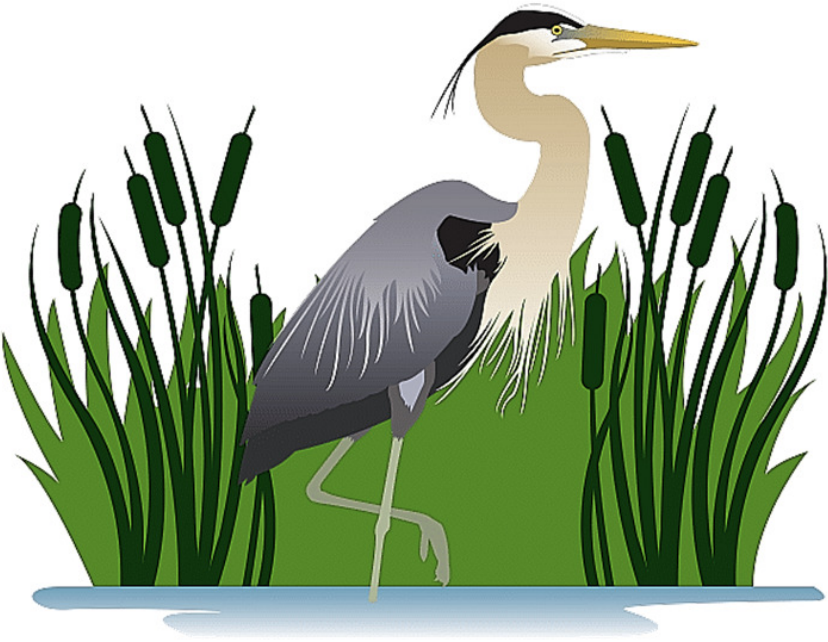 Friends of the Missisquoi National Wildlife Refuge