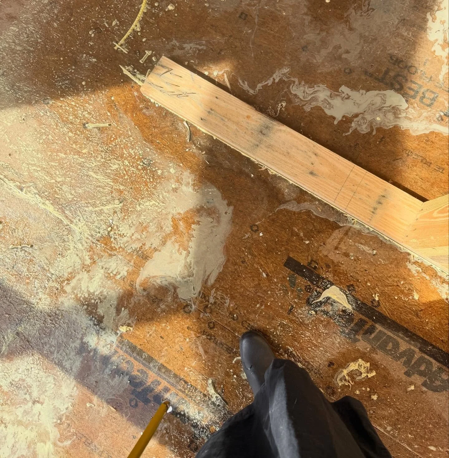 spring || construction visit&hellip;

#polleneverywhere #mcdinteriordesign #mcdinteriorarchitecureanddesign #mcdinteriorarch #mcdinteriors