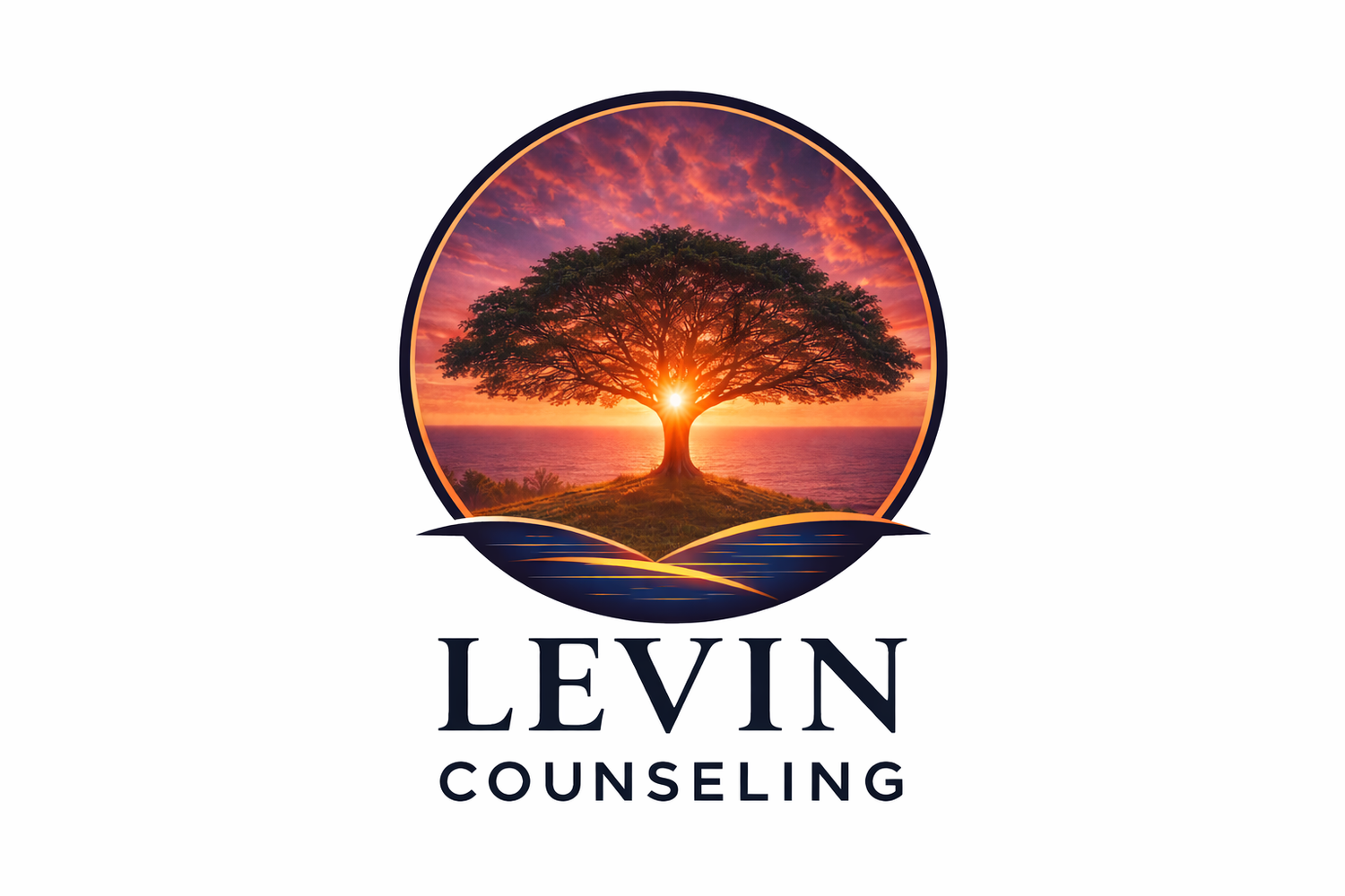 Levin Virtual Counseling