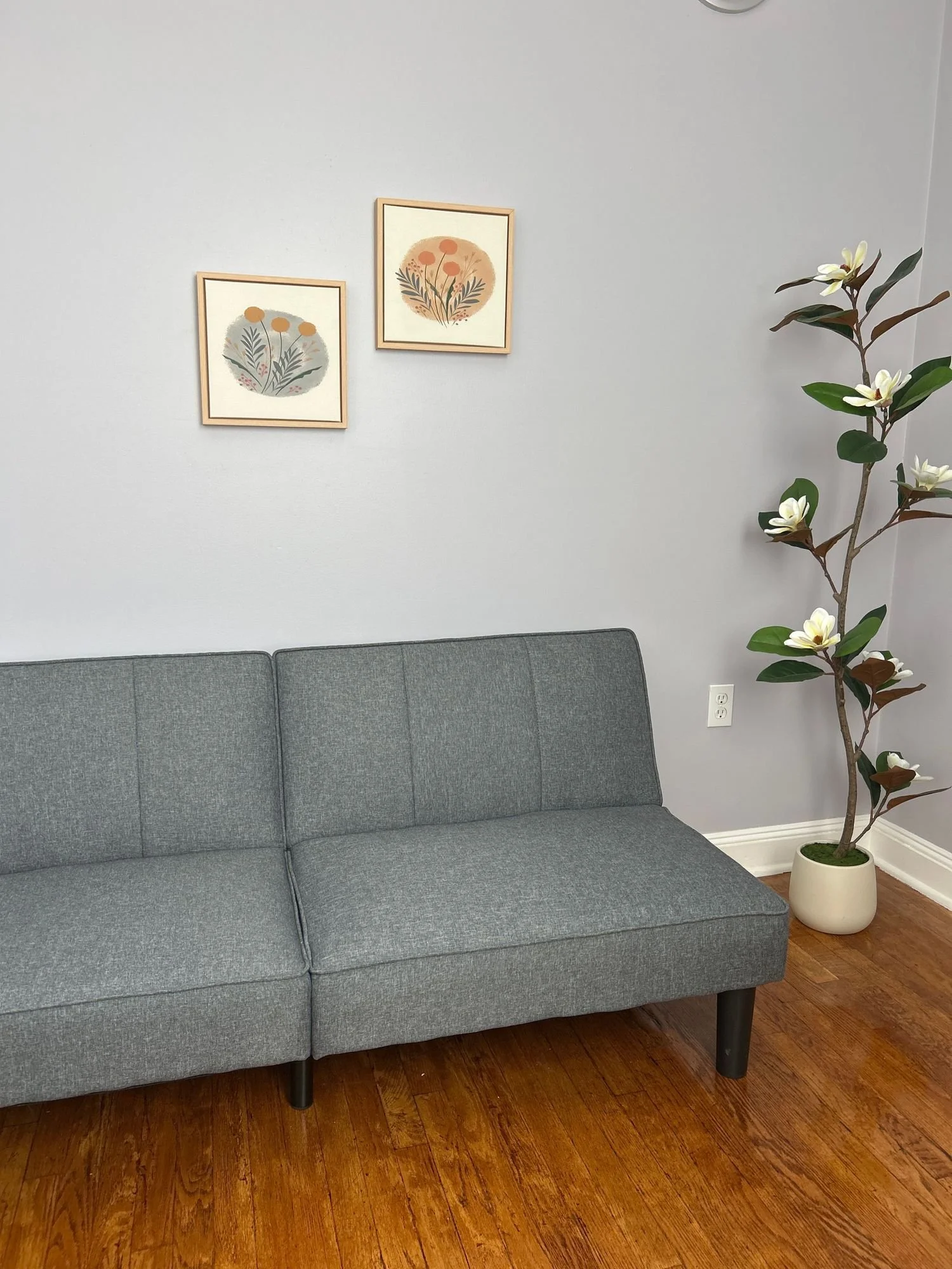 A gray couch with black legs in a living room, next to a potted plant with white flowers, and two framed botanical prints on a light gray wall.