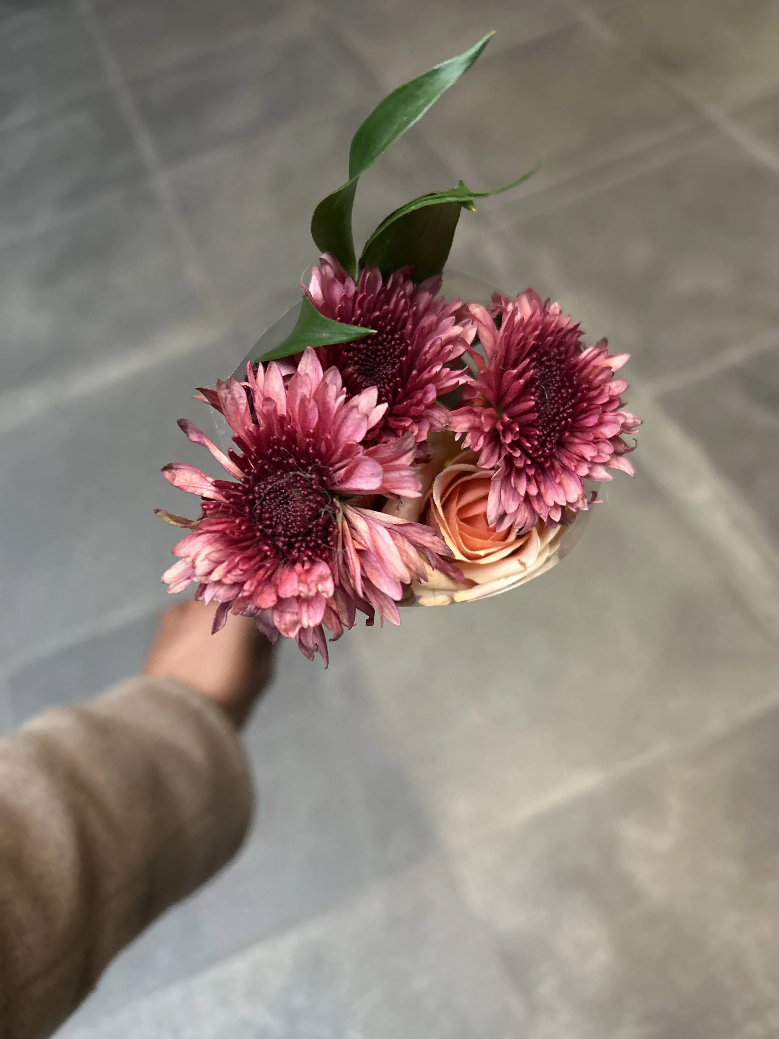 Sunday Matinee Poseys