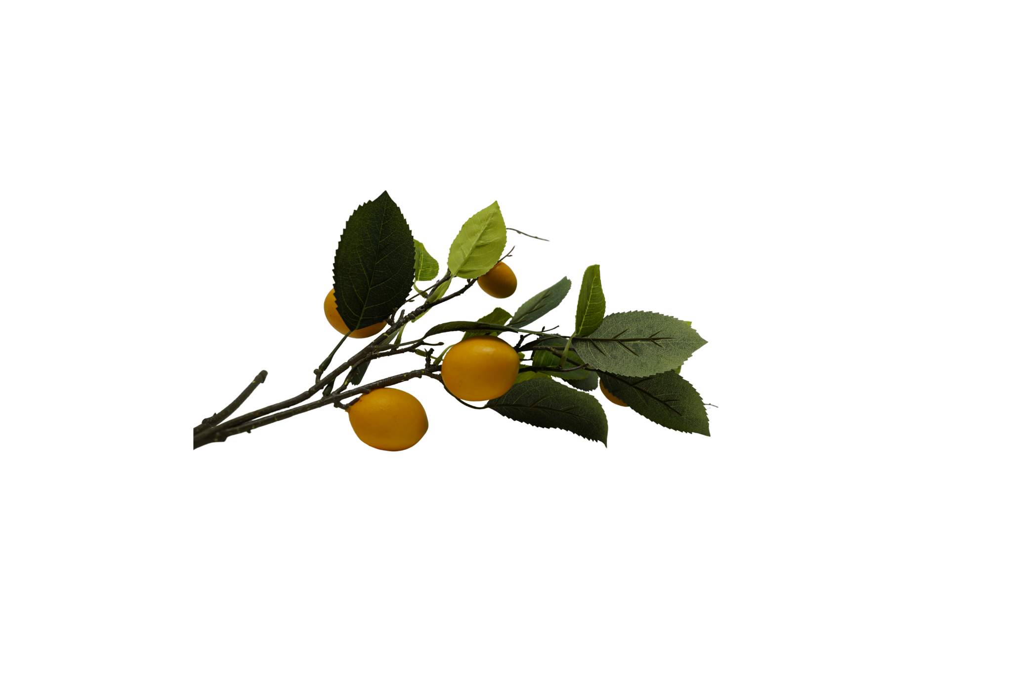 Lemon Floral (2).png