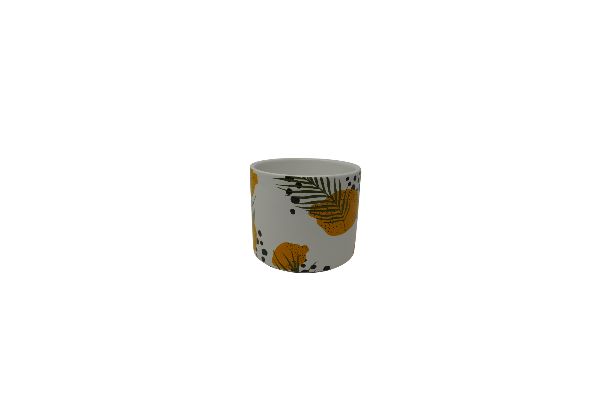Lemon White Ceramic.png