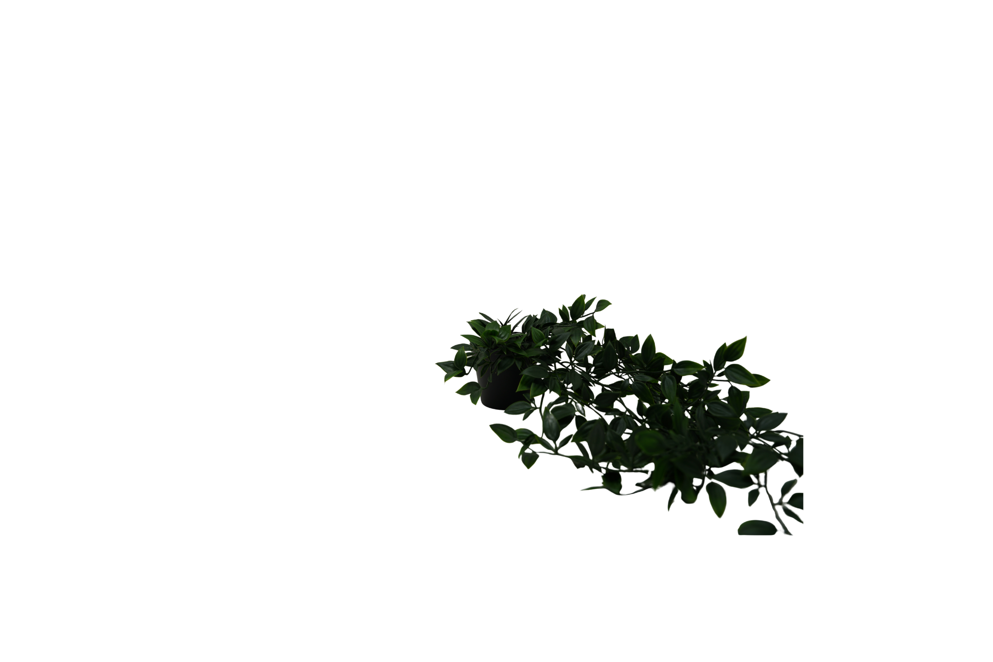 Faux Greenery Pot (3).png