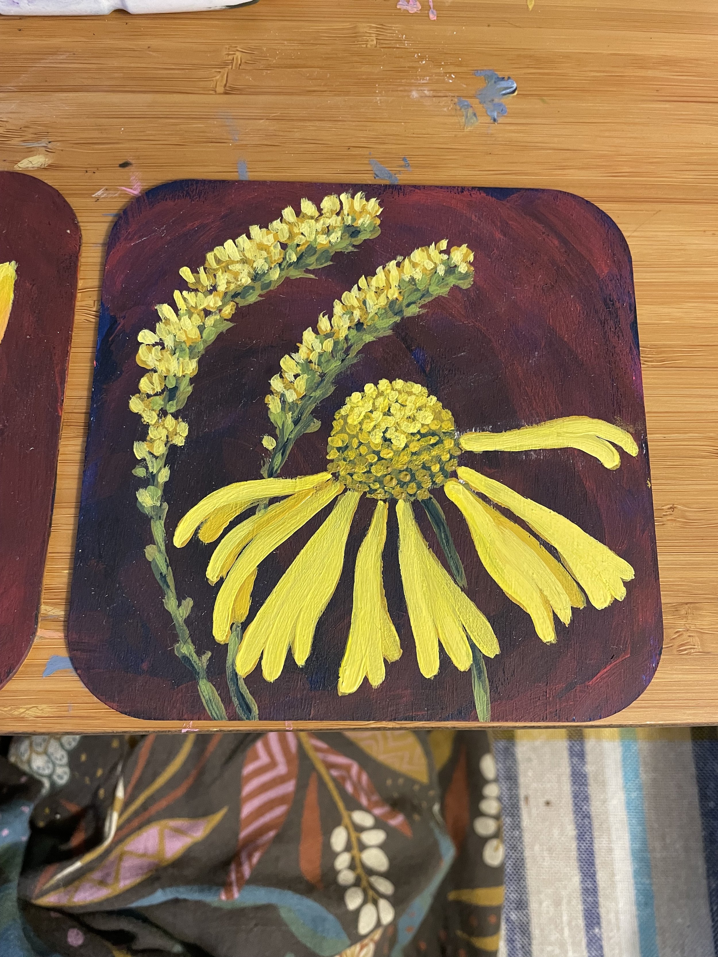 small acrylic nature observations