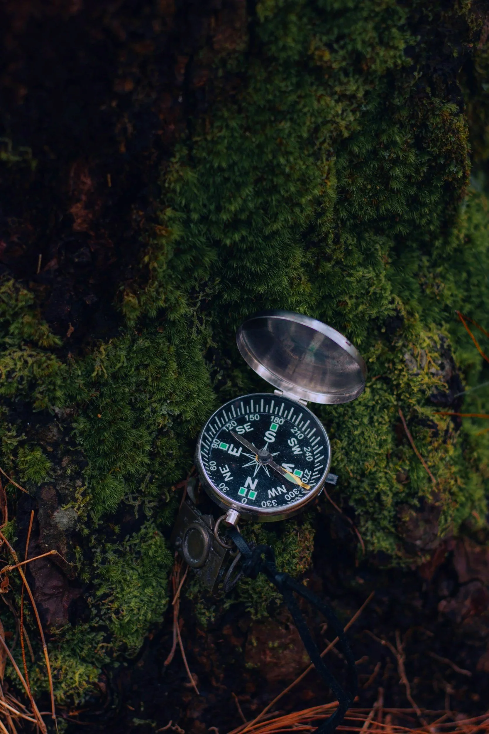 Celine Cremer Investigation # 3: The Missing Compass