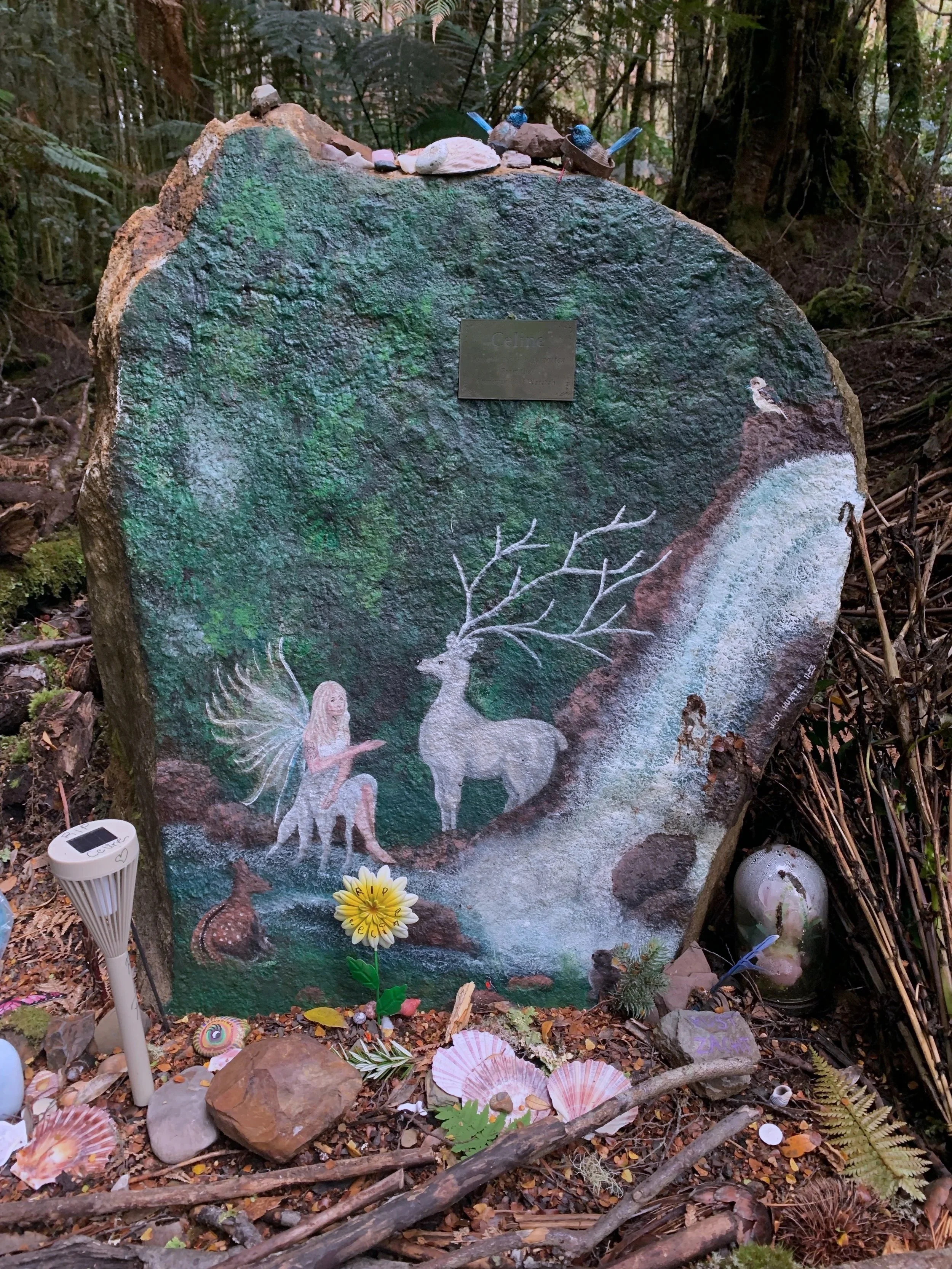 Celine Cremer Investigation # 6: The Unseen Revealed