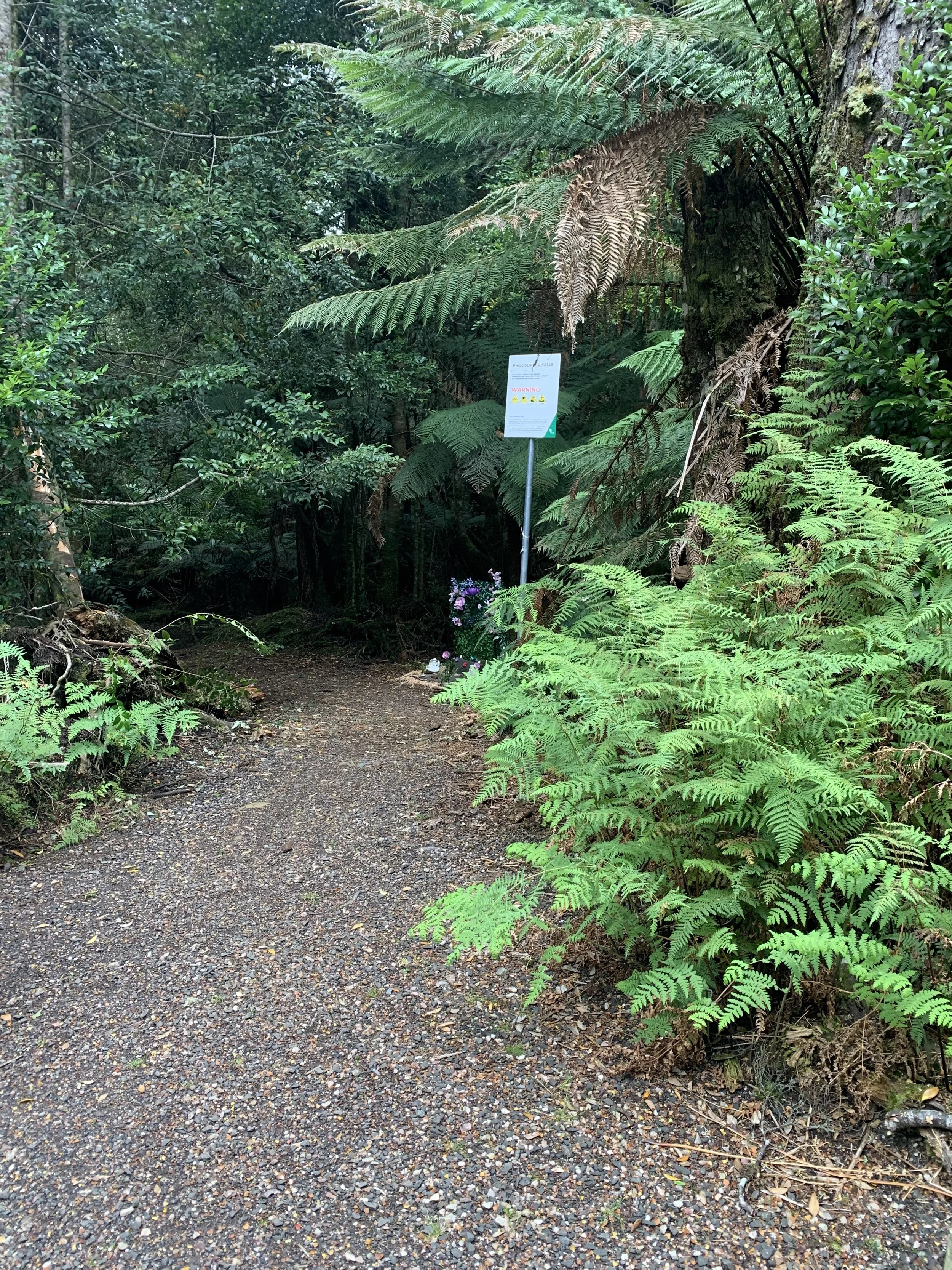 The entrance to Philosopher Falls Trail