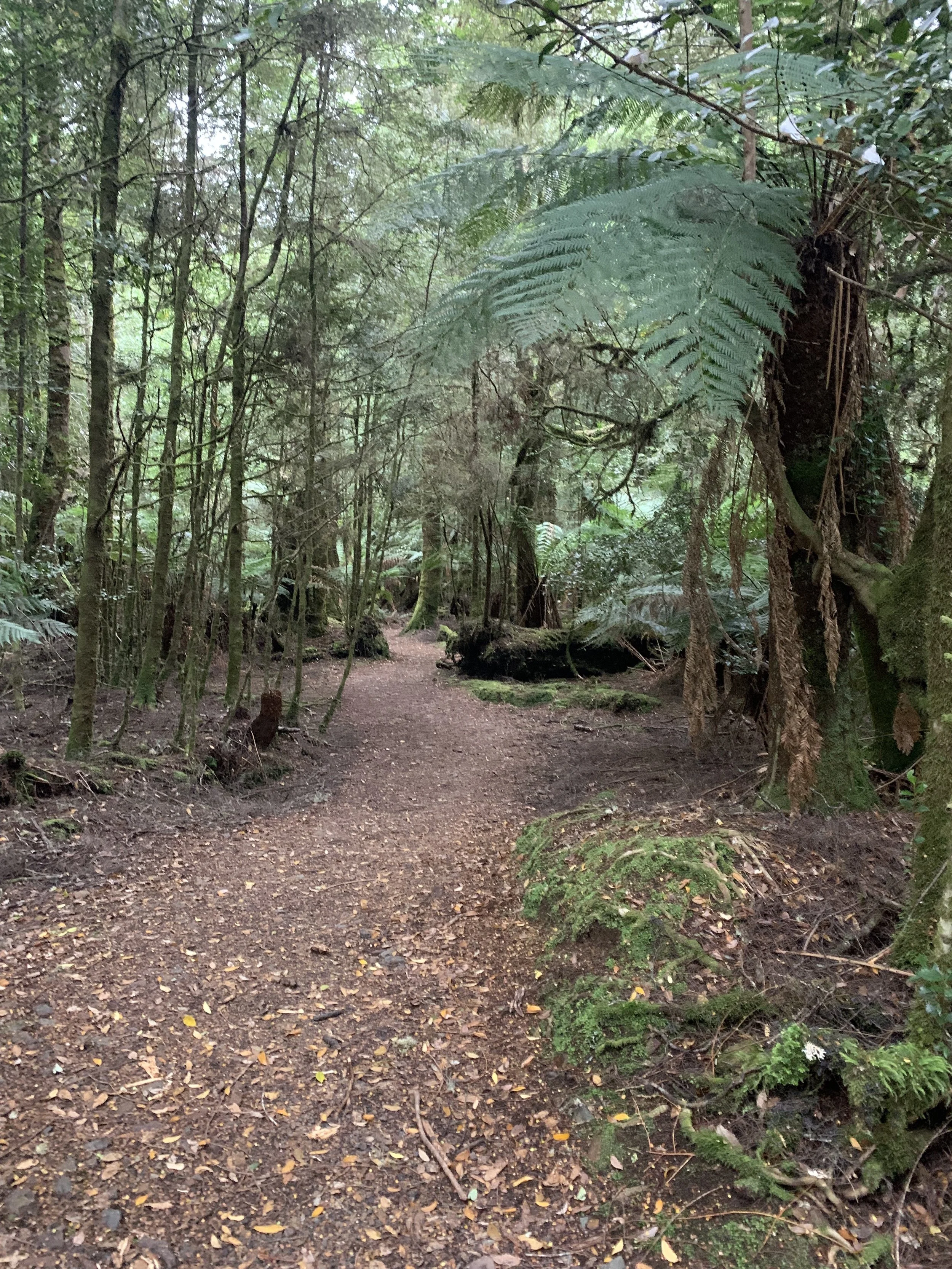 Early on the trail