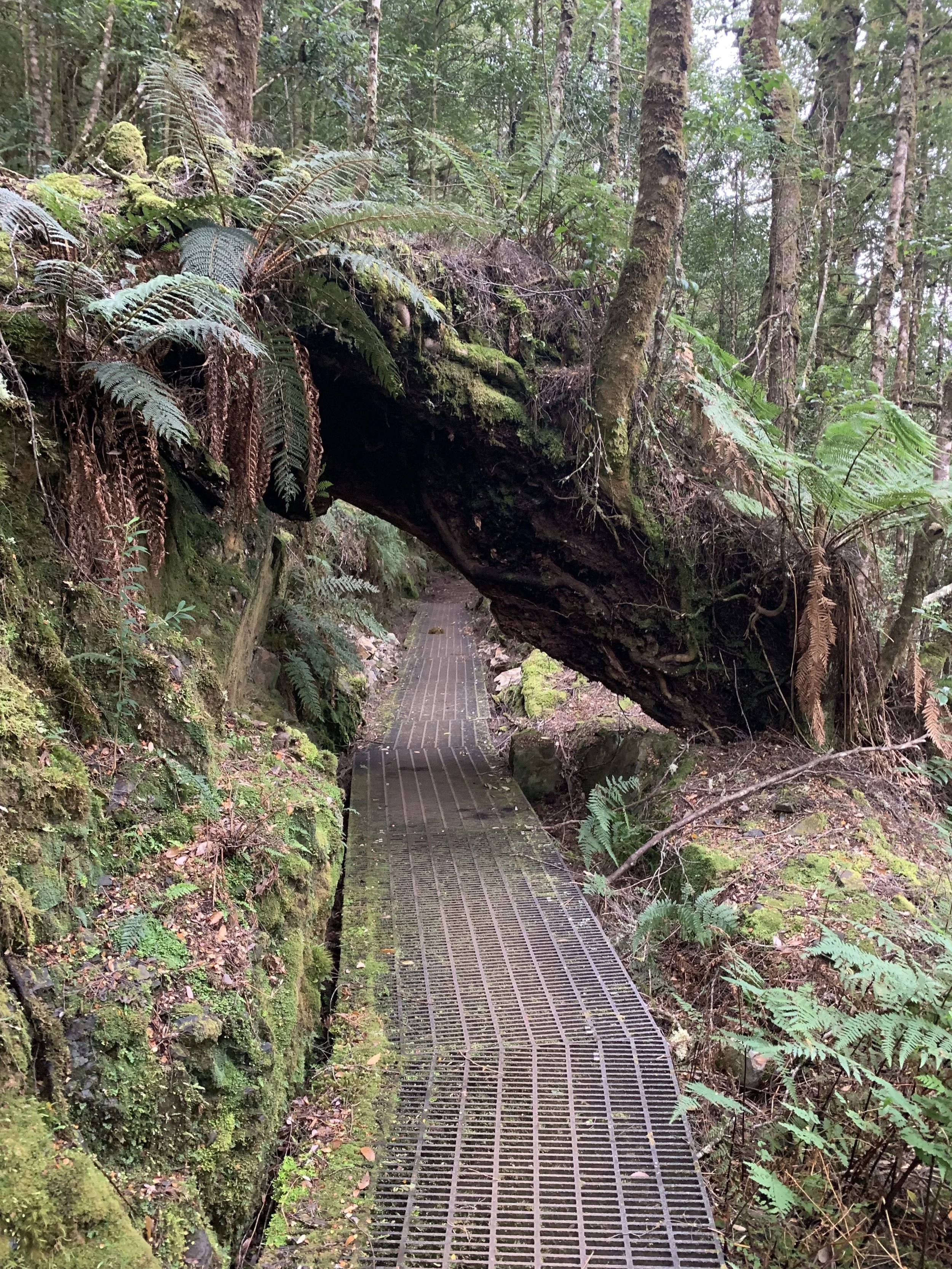 Infrastructure on the trail