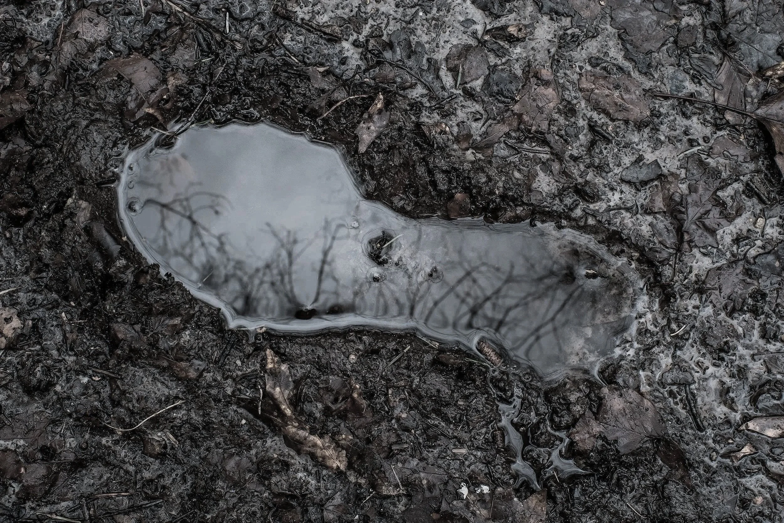 A close-up of muddy ground with a small pool of water and scattered dead leaves and twigs.
