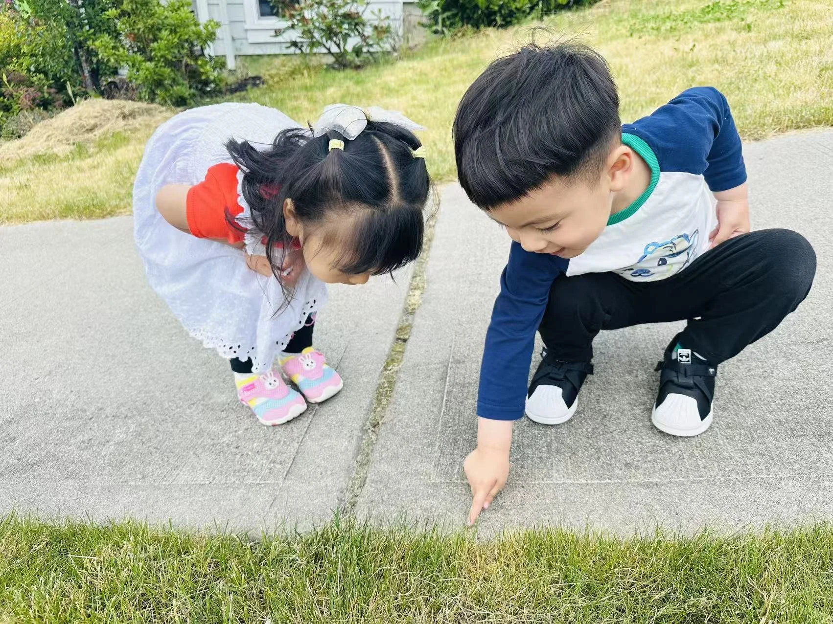 Two young children crouch outdoors, looking closely at something in the grass.
