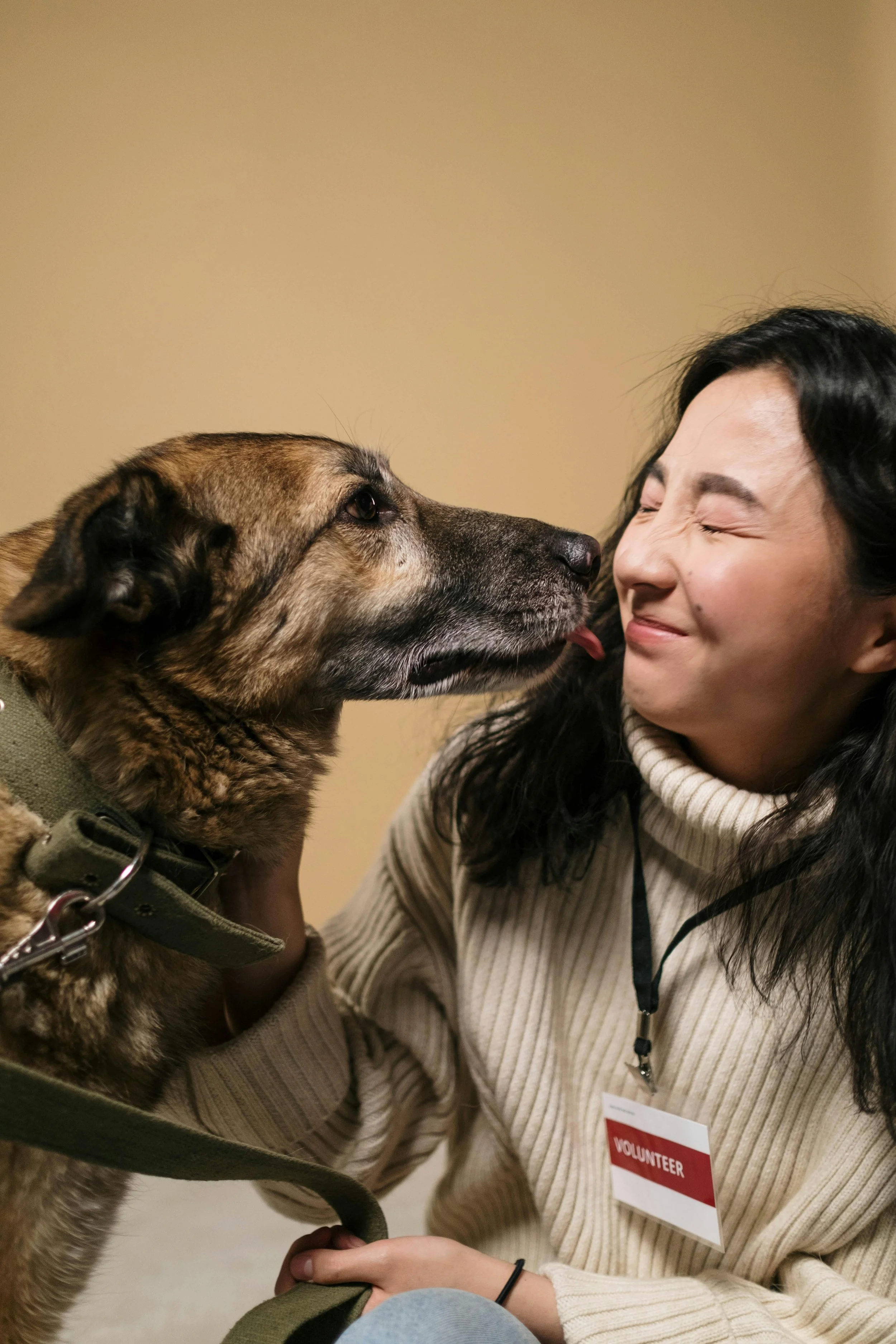 A woman with dark hair and a volunteer badge is smiling as a large dog licks her face.
