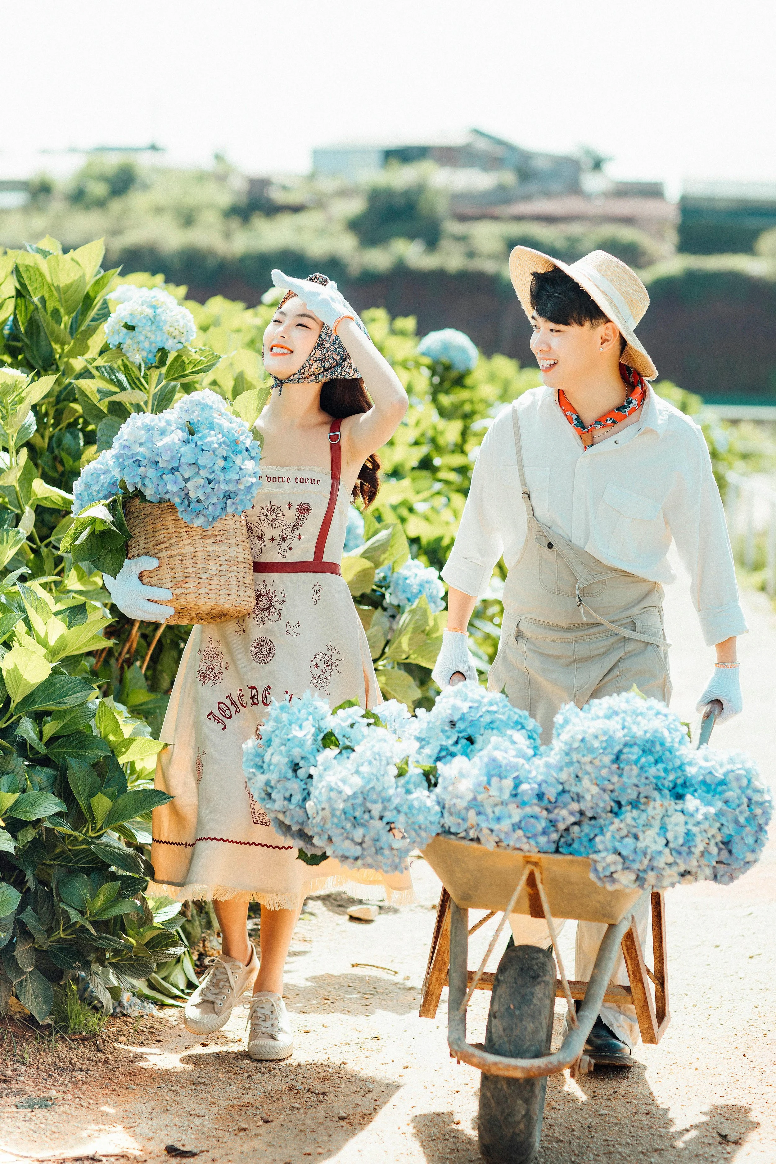 A young woman and man picking blue hydrangea flowers in a garden on a sunny day. The woman is holding a basket of flowers and wearing a dress, a headscarf, and gloves. The man is pushing a wheelbarrow filled with flowers, wearing a hat, a white shirt